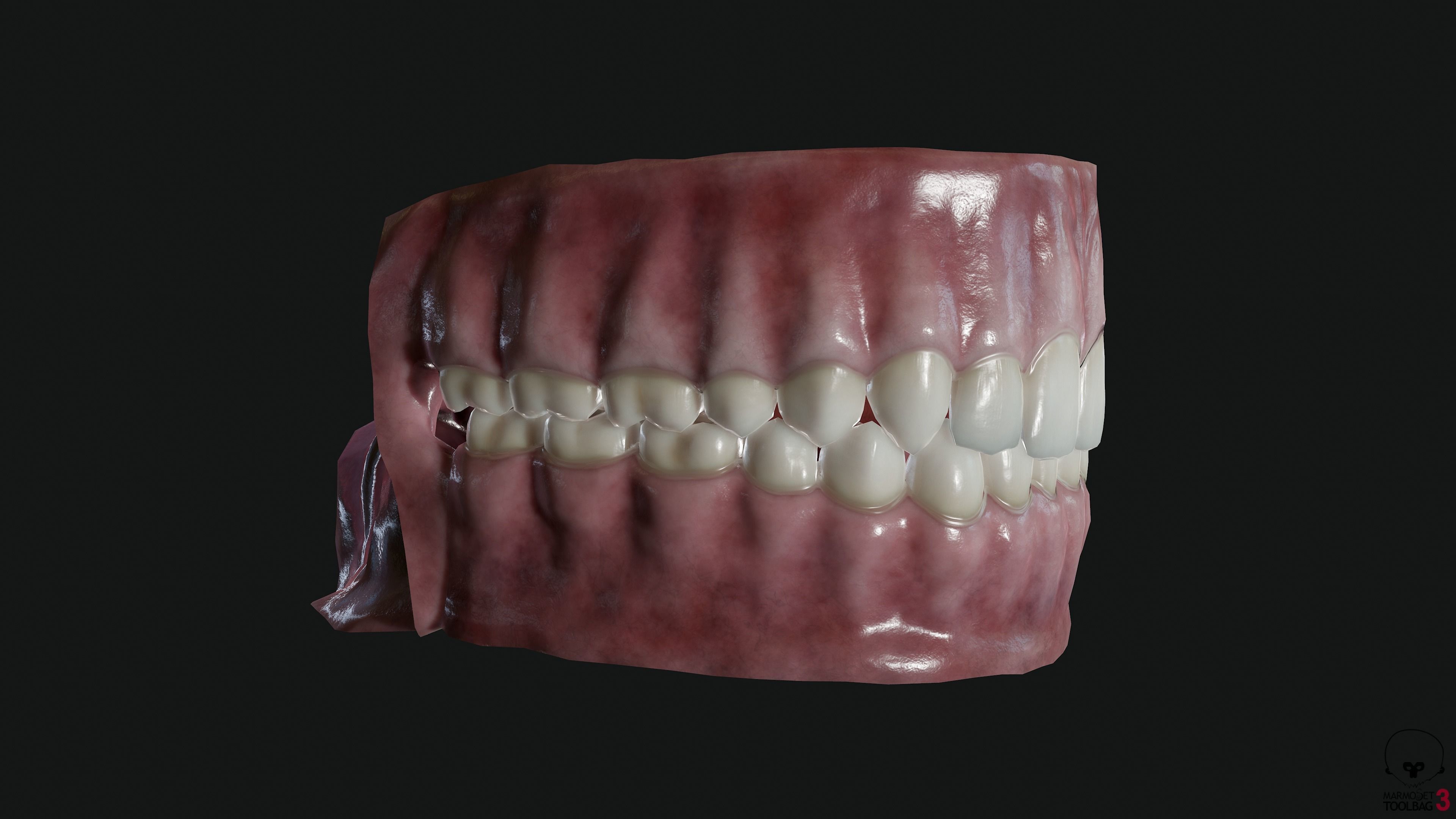 Teeth and tongue Low-poly 3D model_6