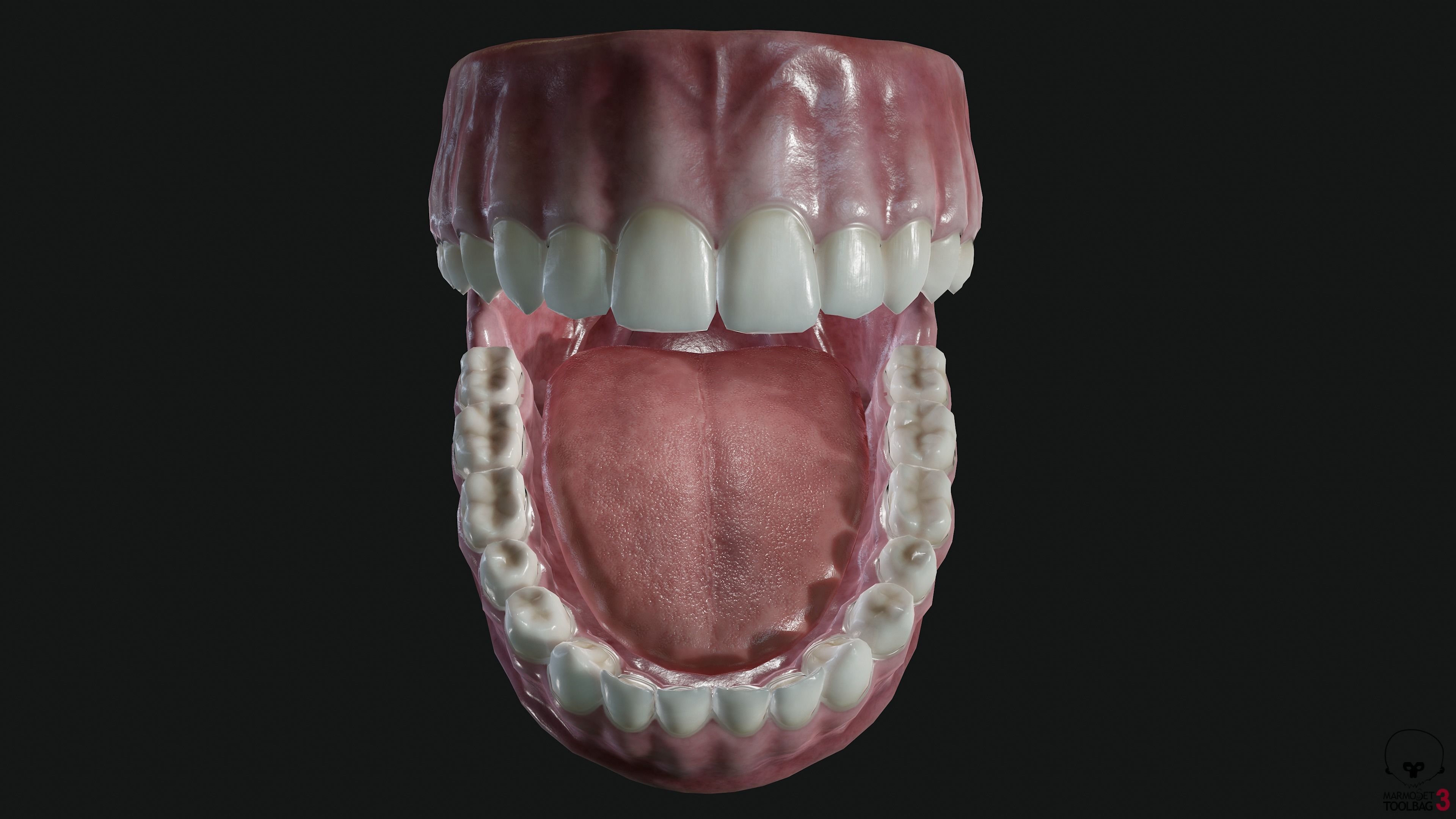 Teeth and tongue Low-poly 3D model_10