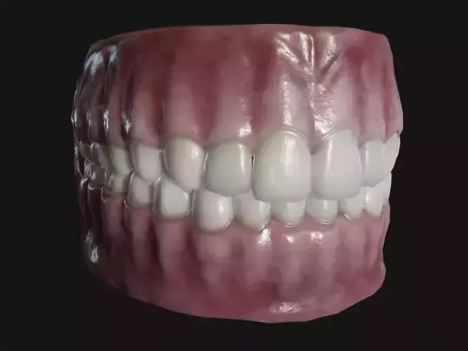 Teeth and tongue Low-poly 3D model