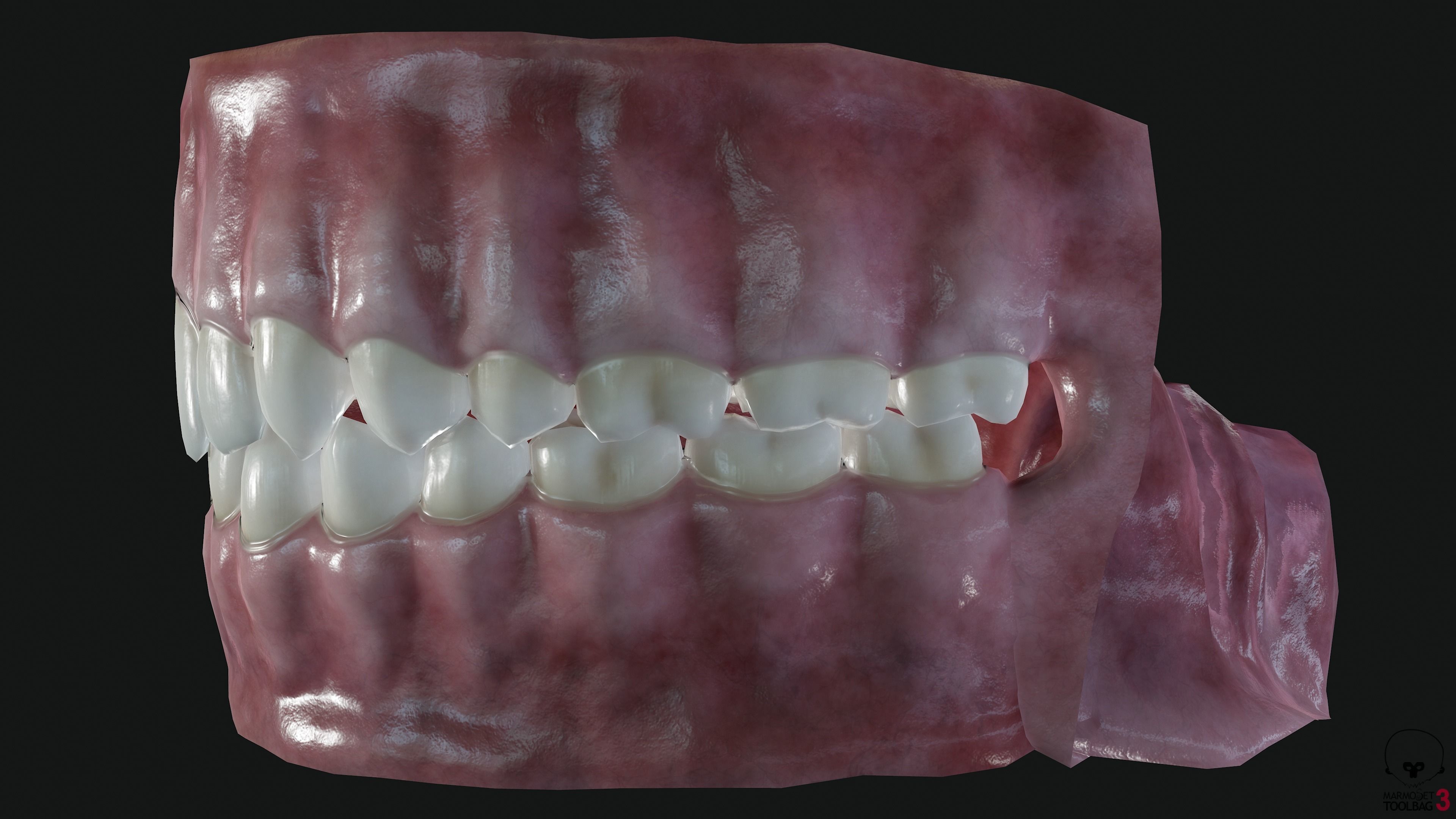 Teeth and tongue Low-poly 3D model_9
