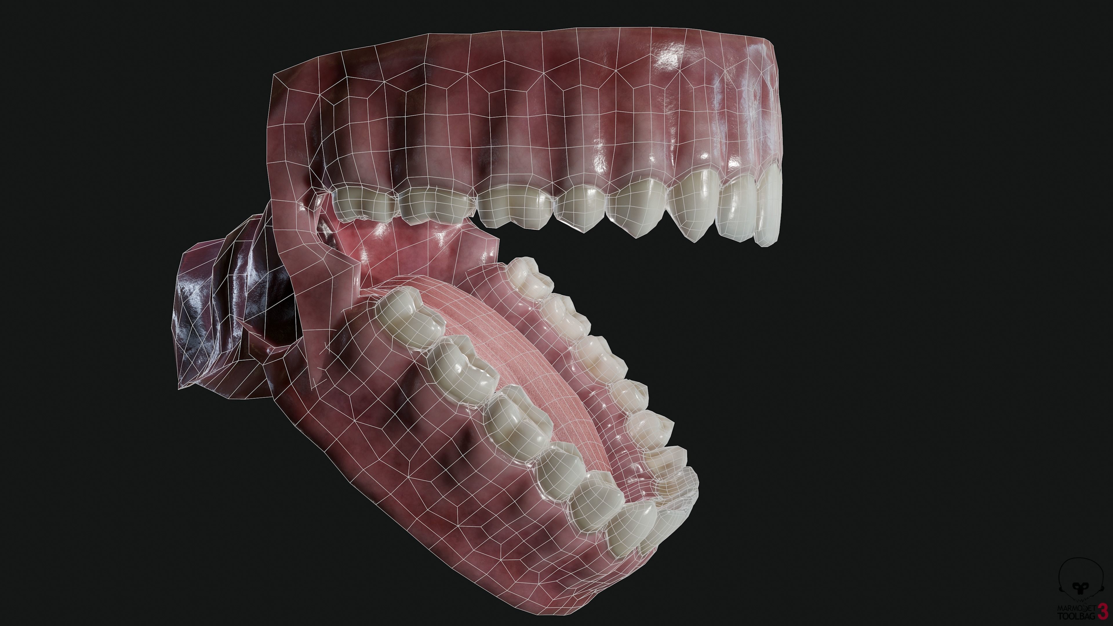 Teeth and tongue Low-poly 3D model_12