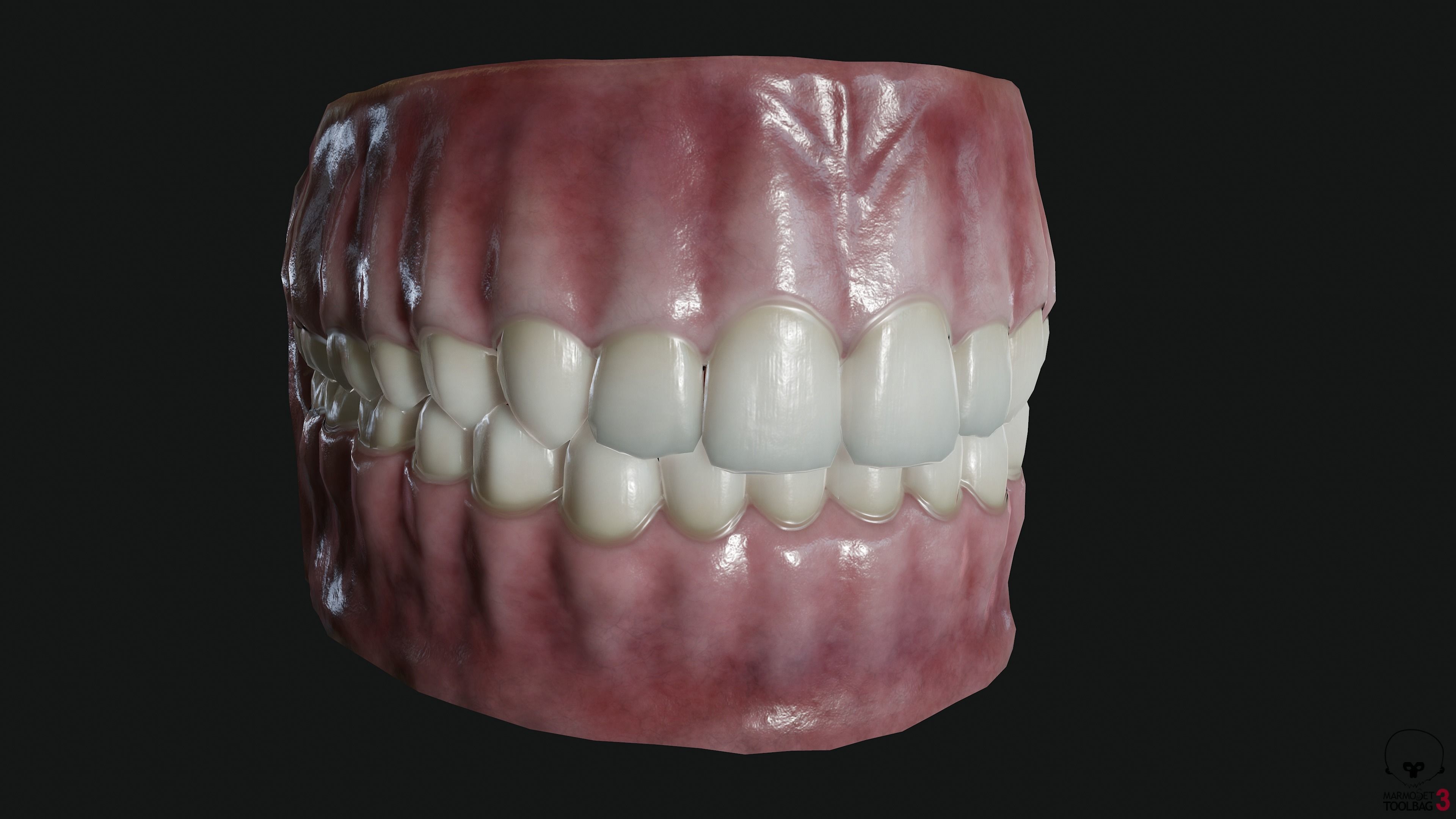 Teeth and tongue Low-poly 3D model_3