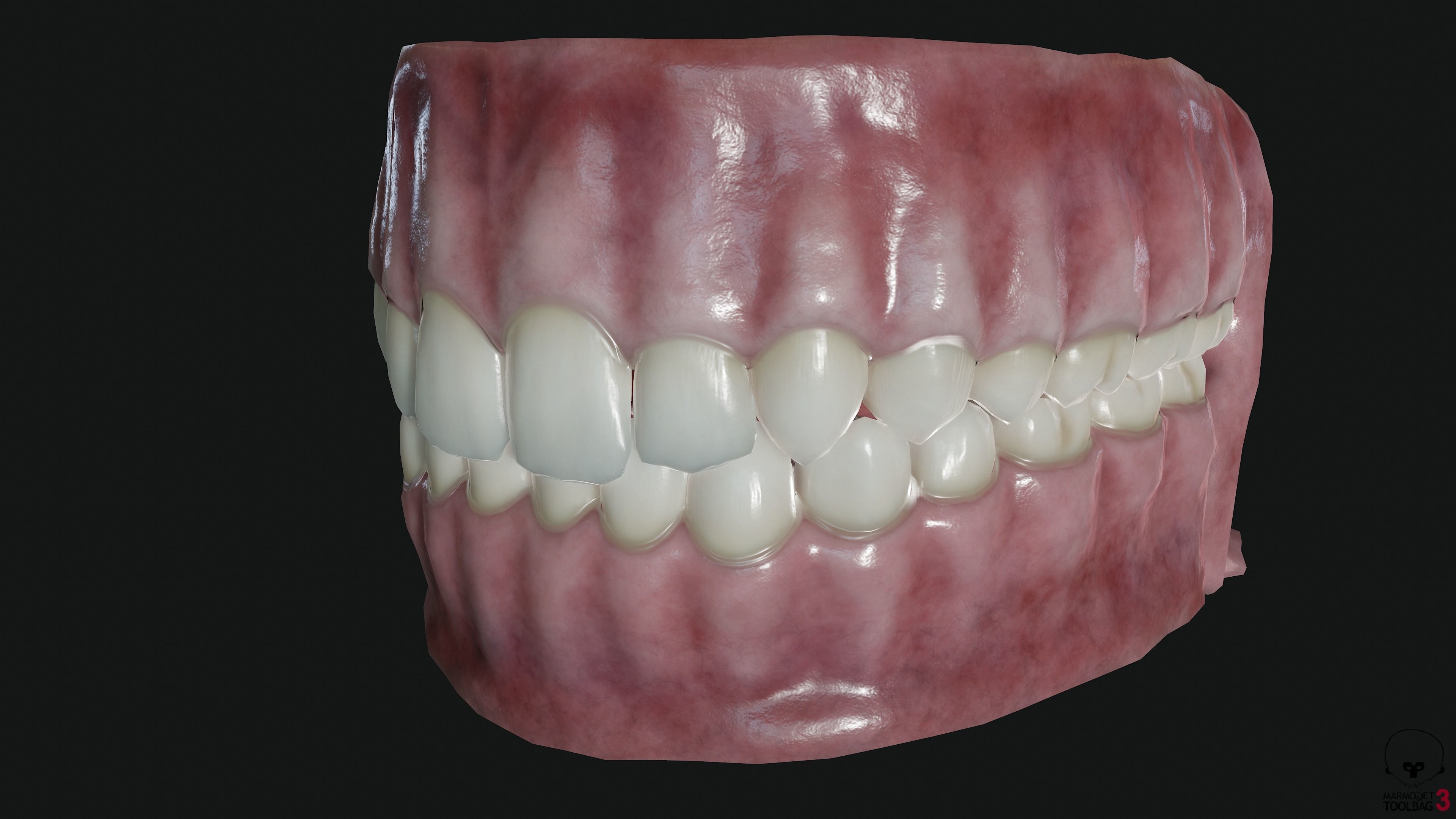 Teeth and tongue Low-poly 3D model_4