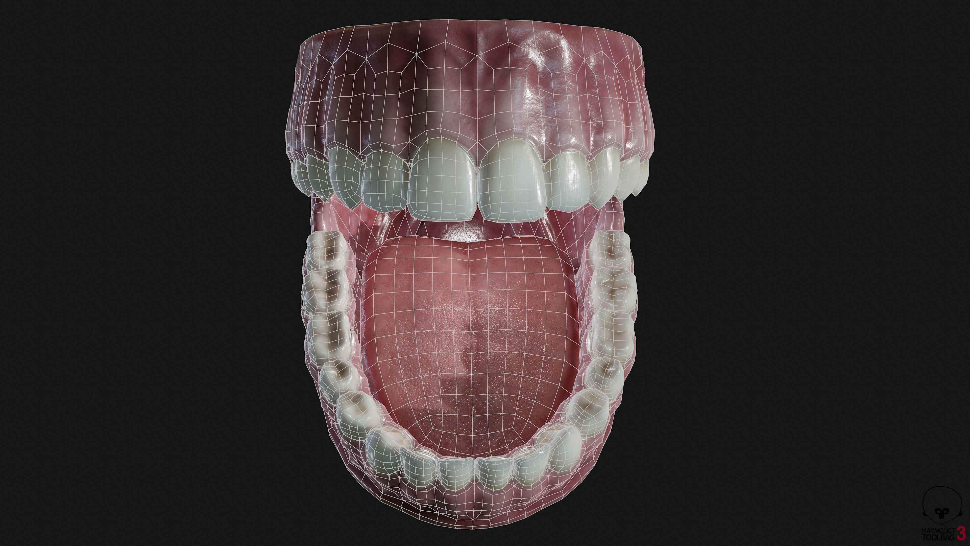 Teeth and tongue Low-poly 3D model_11