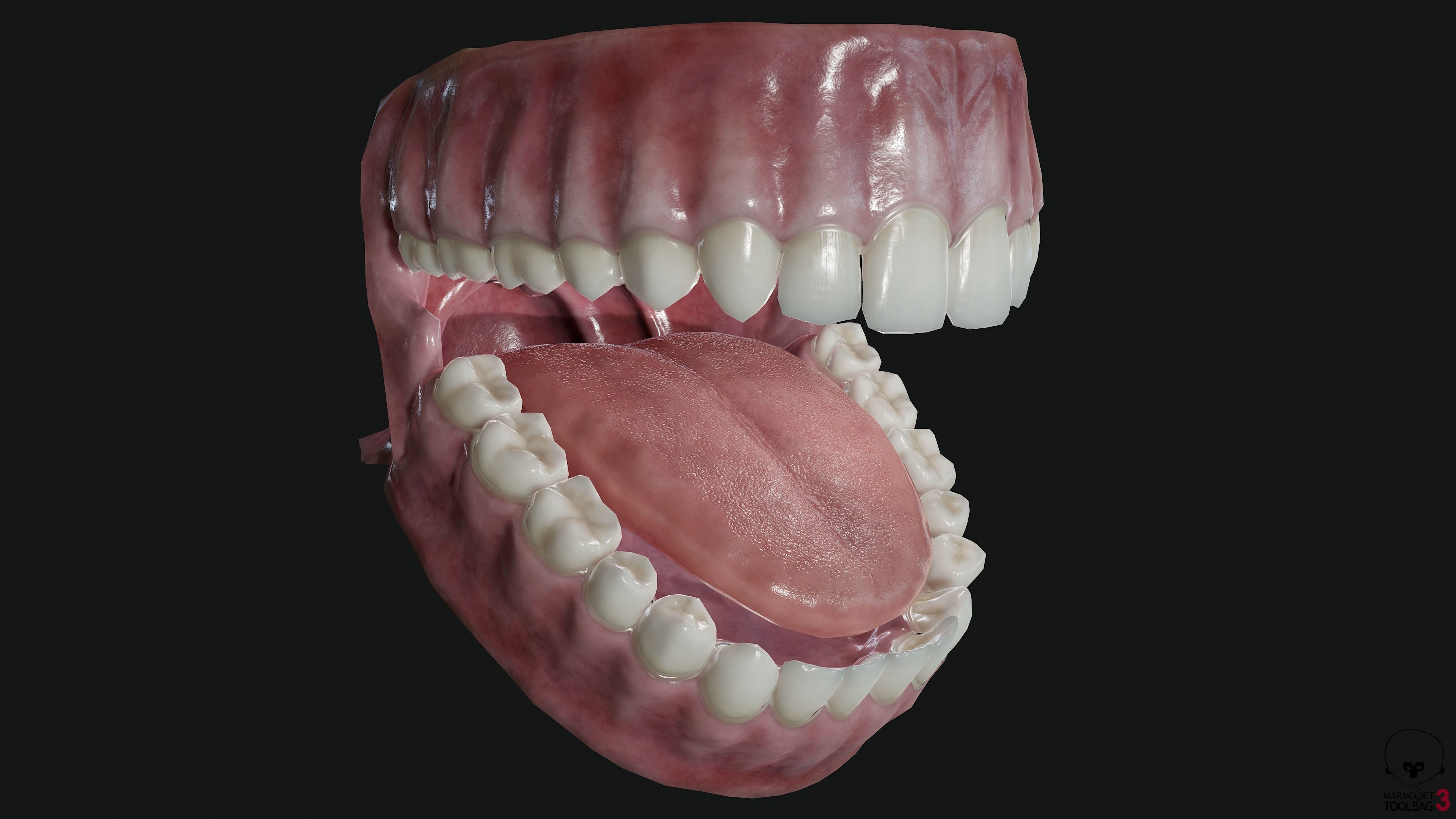 Teeth and tongue Low-poly 3D model_7