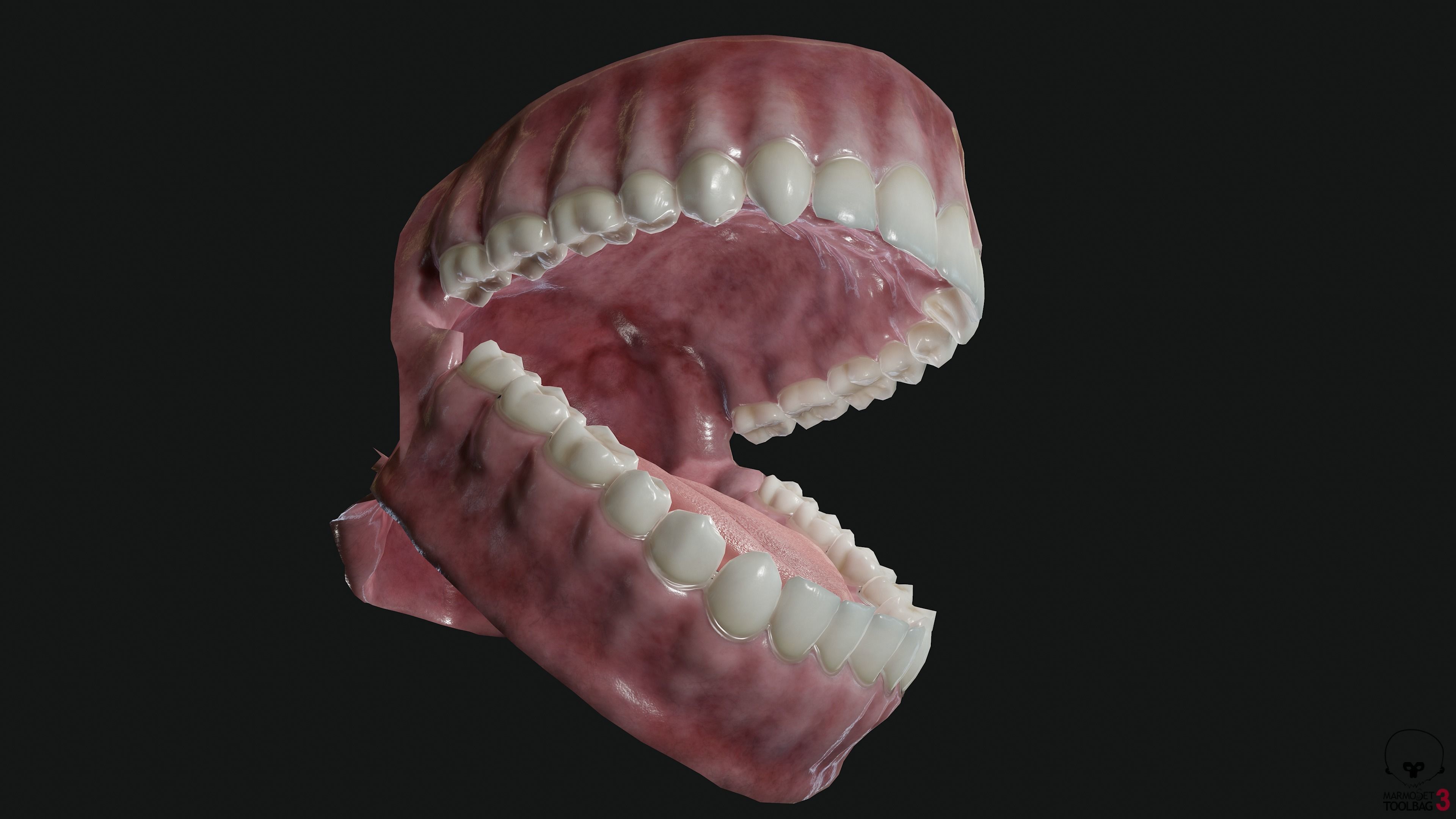 Teeth and tongue Low-poly 3D model_5