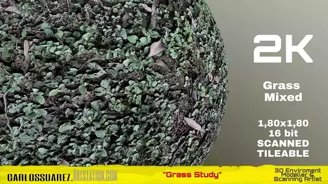 PBR MATERIAL GRASS 02 MIXED 2K TIFF