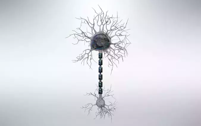 Neuron Low-poly 3D model