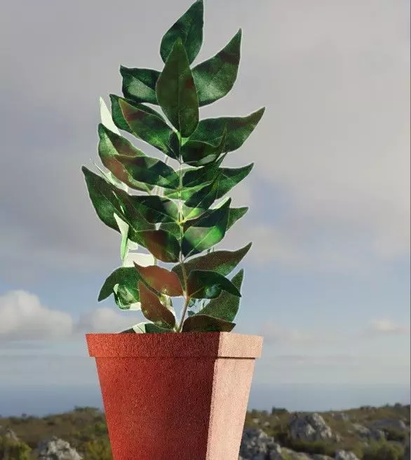pot free Free low-poly 3D model