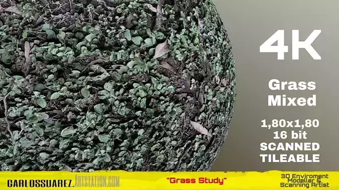 PBR MATERIAL GRASS 02 MIXED 4K TIFF Texture
