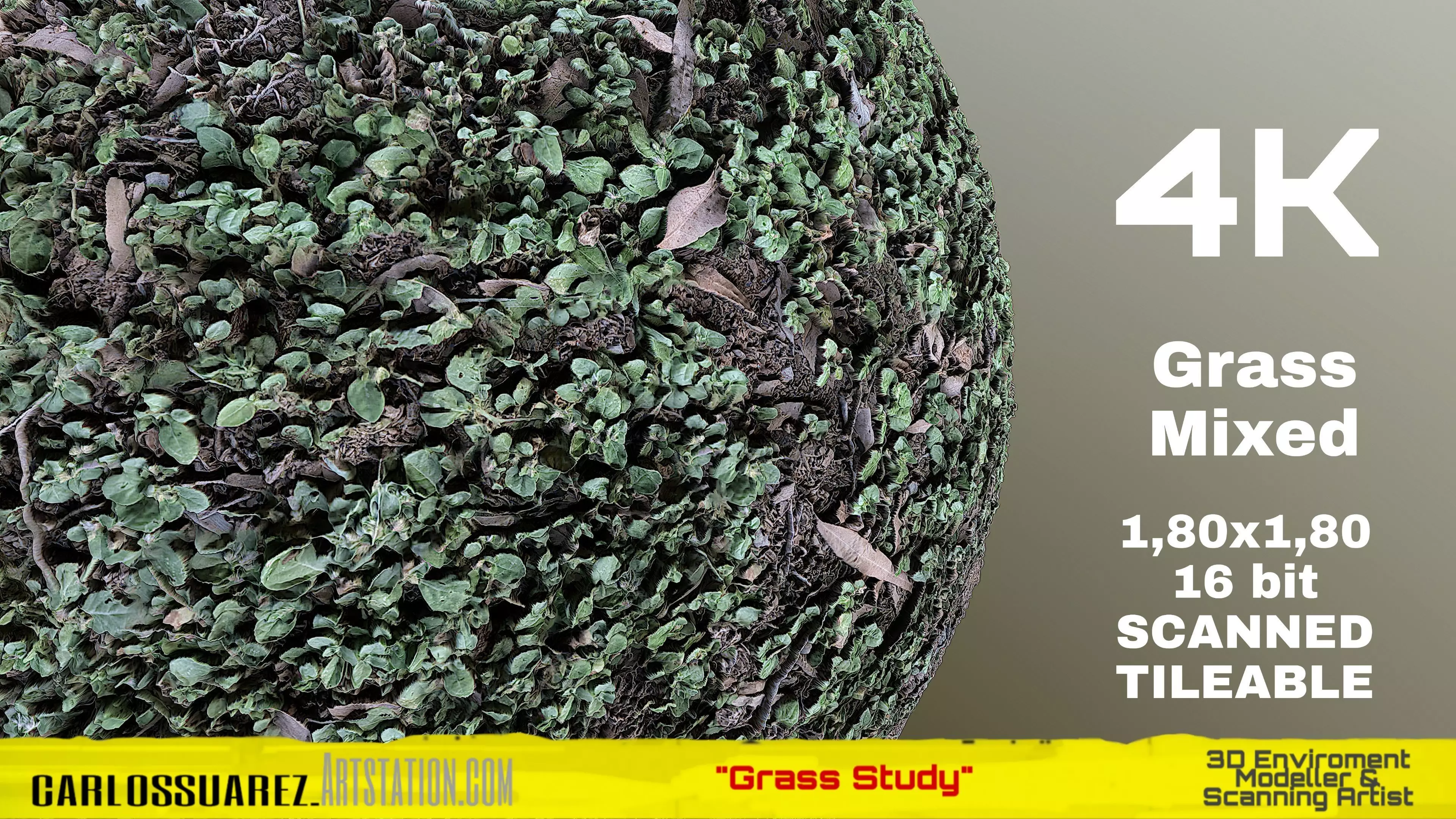 PBR MATERIAL GRASS 02 MIXED 4K TIFF Texture
