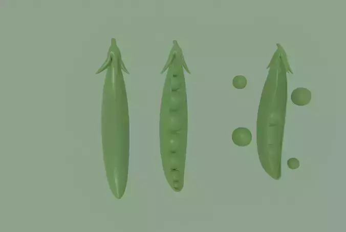 Pea model 3D model