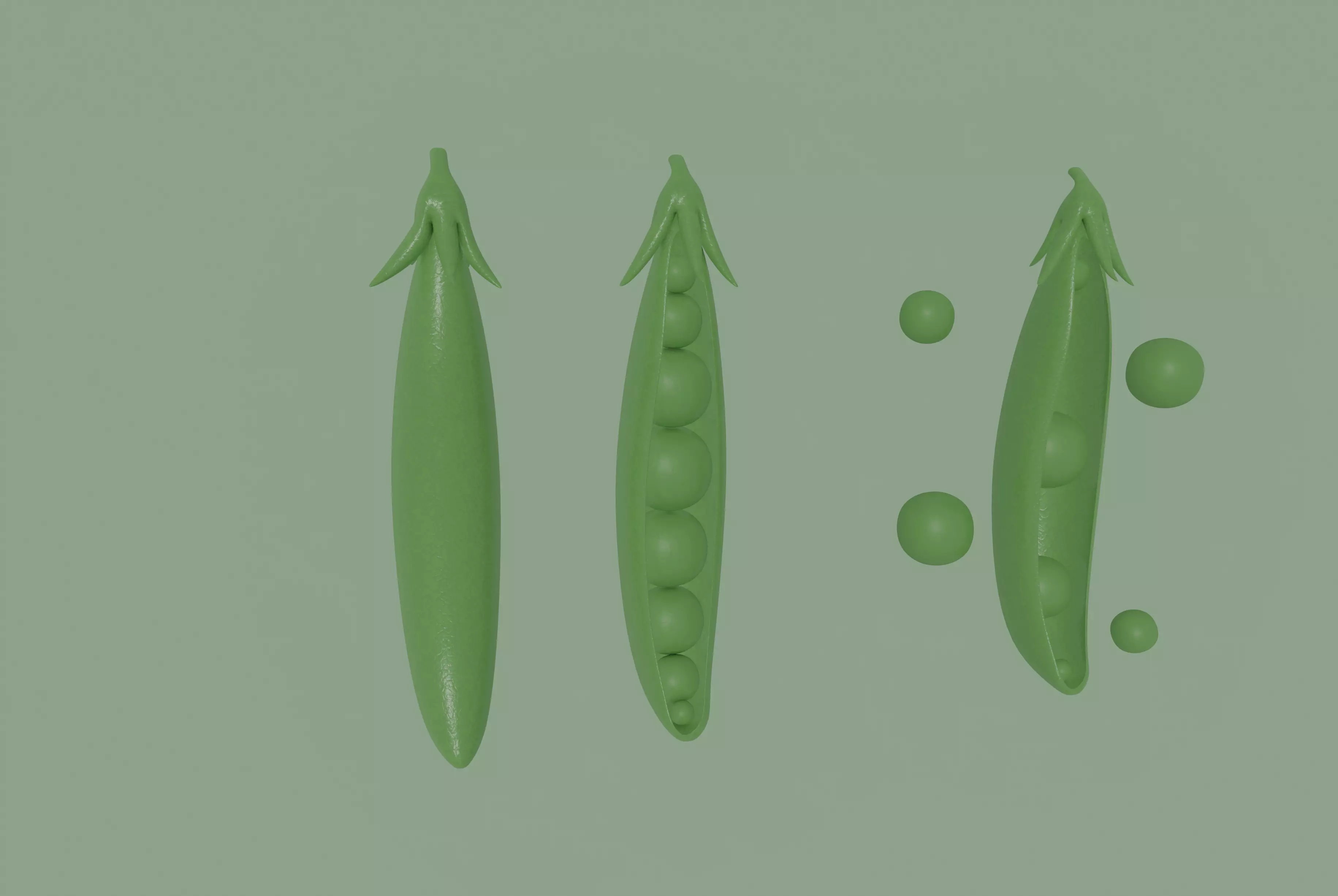 Pea model 3D model
