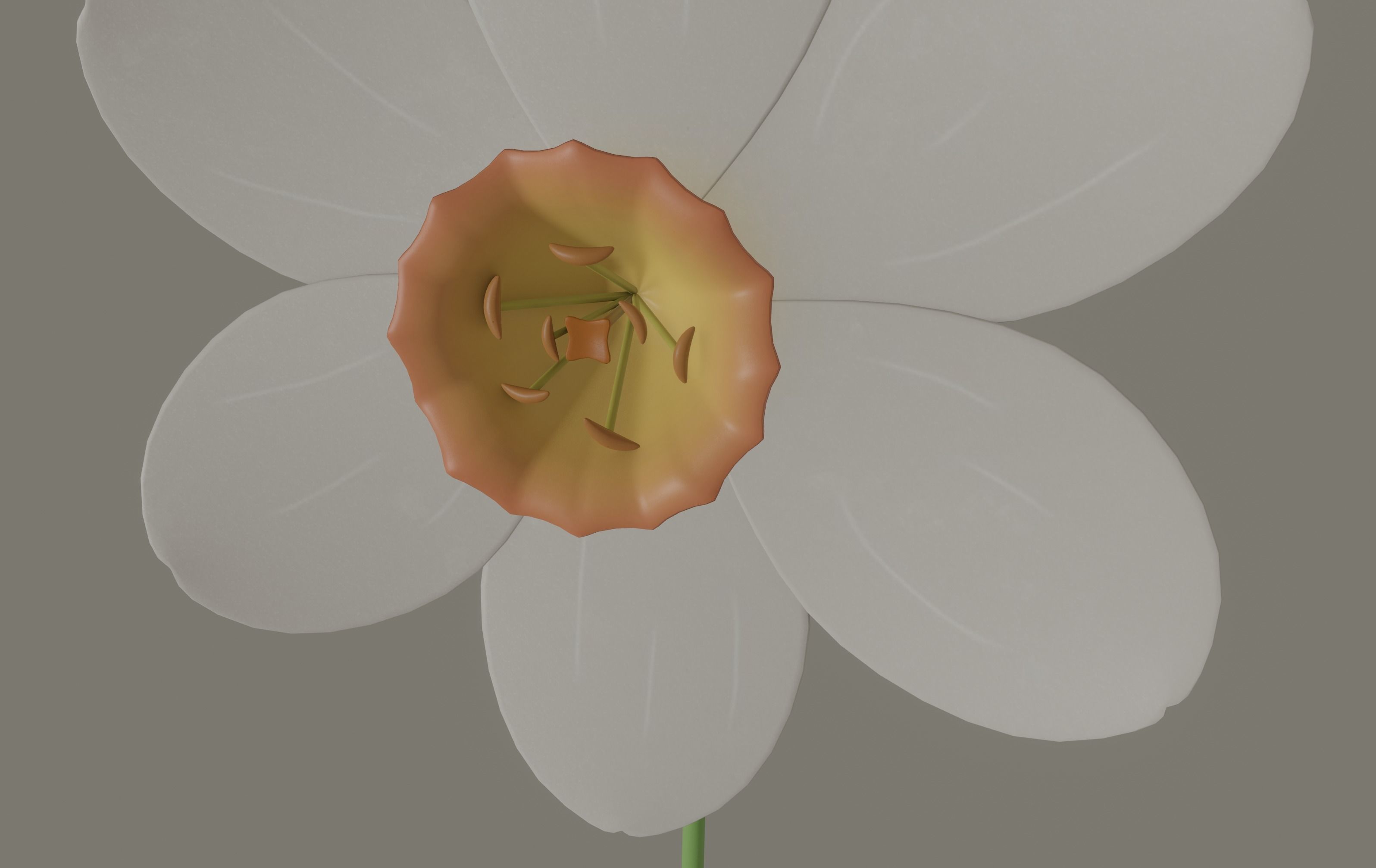 Narcissus Flower 3D model_8