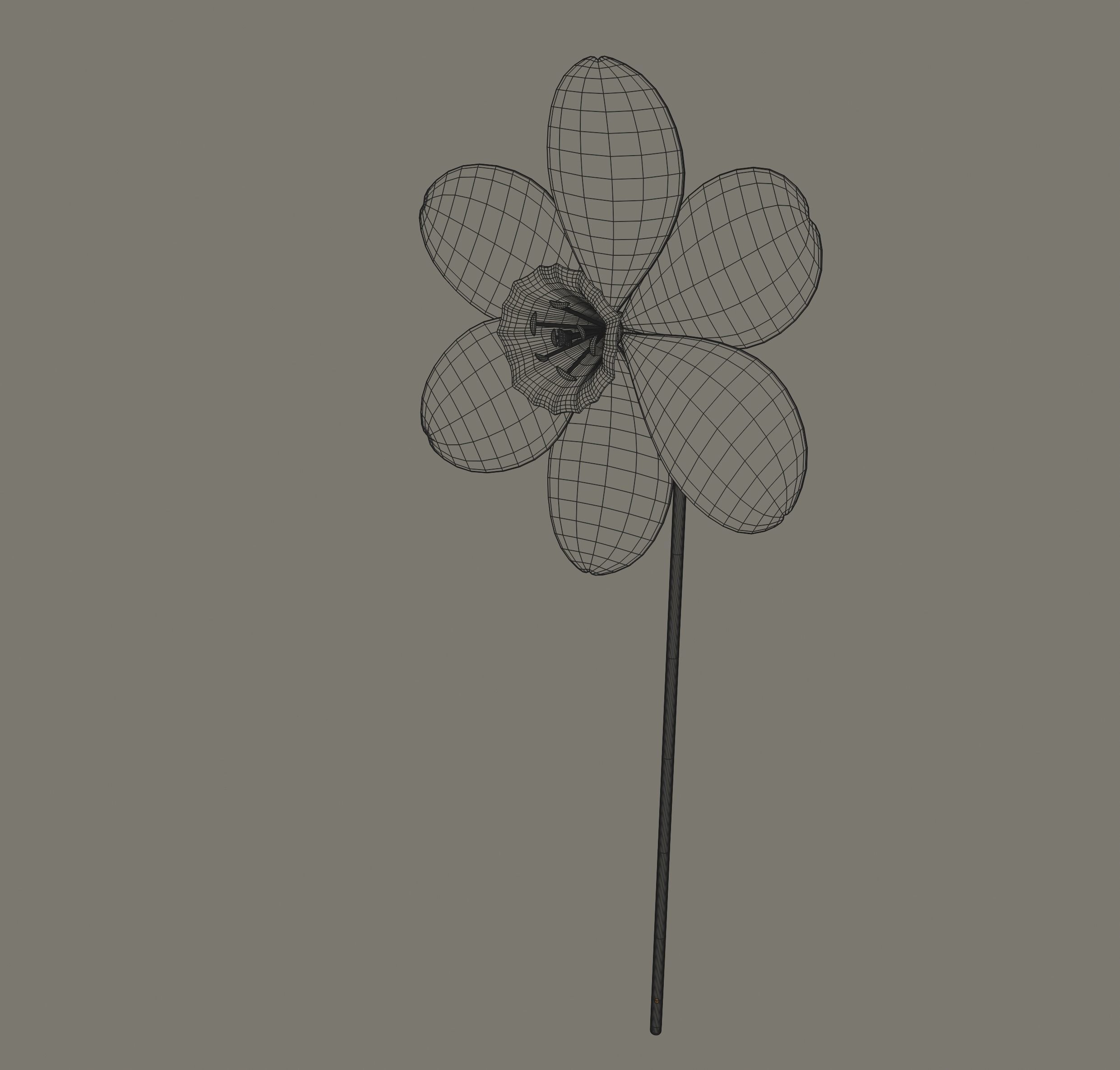 Narcissus Flower 3D model_12