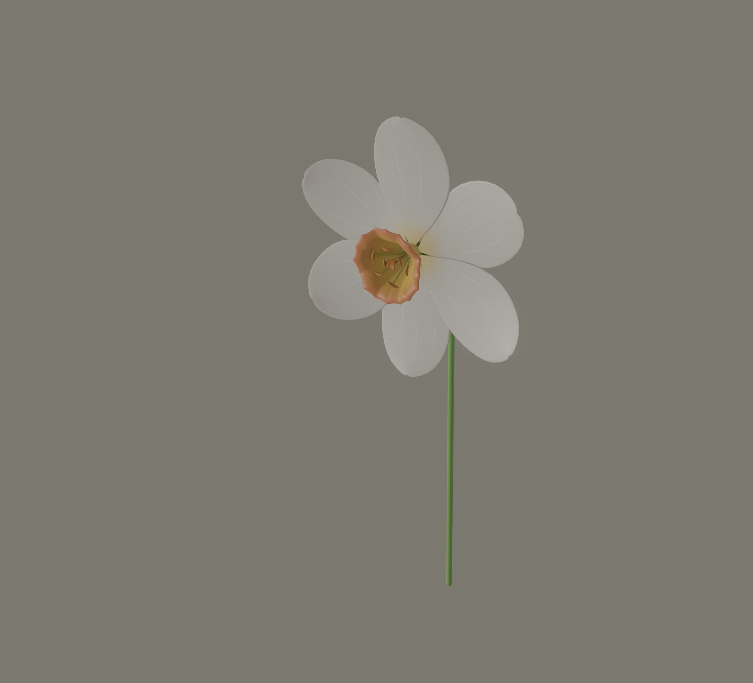 Narcissus Flower 3D model_2