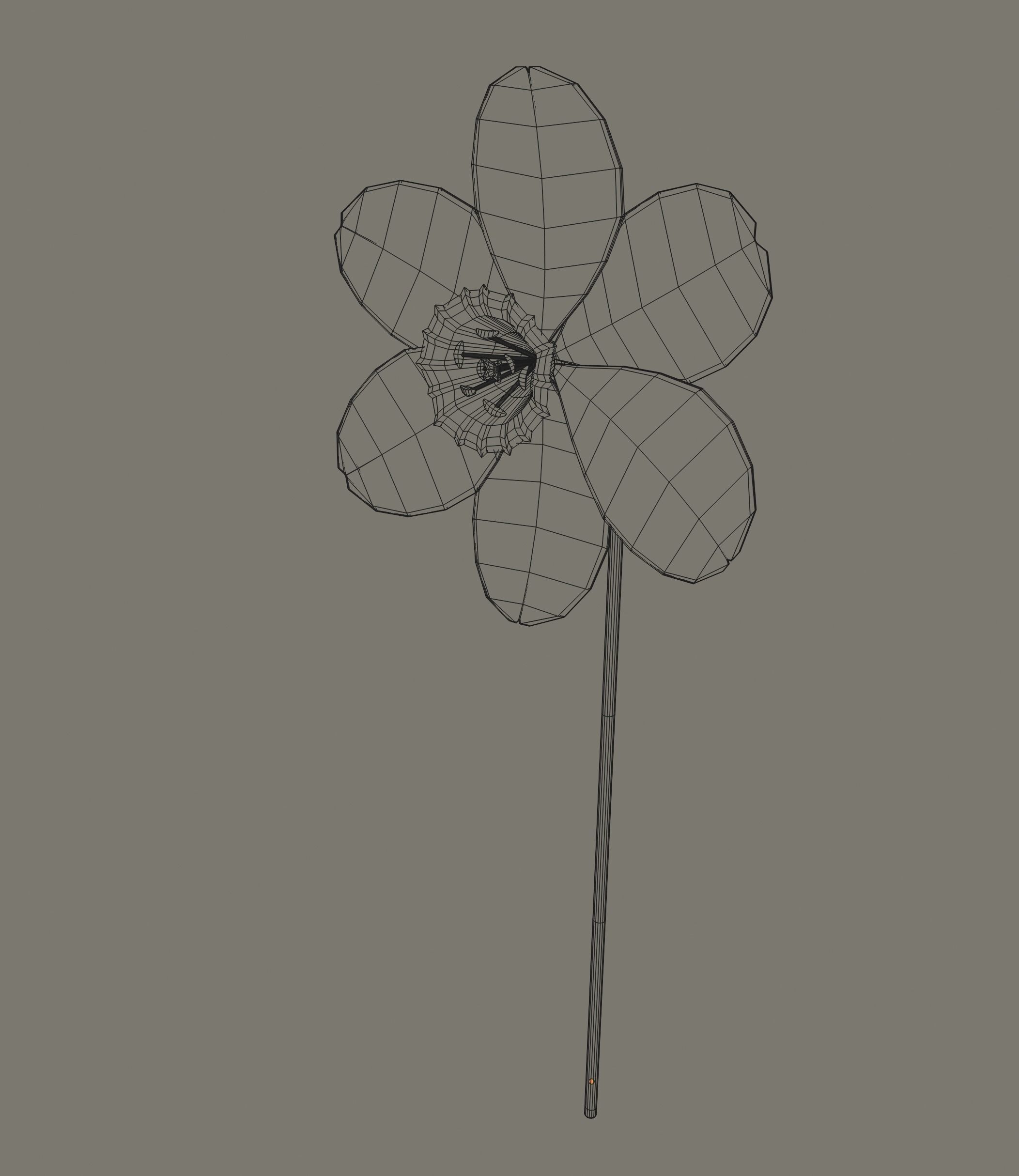 Narcissus Flower 3D model_11