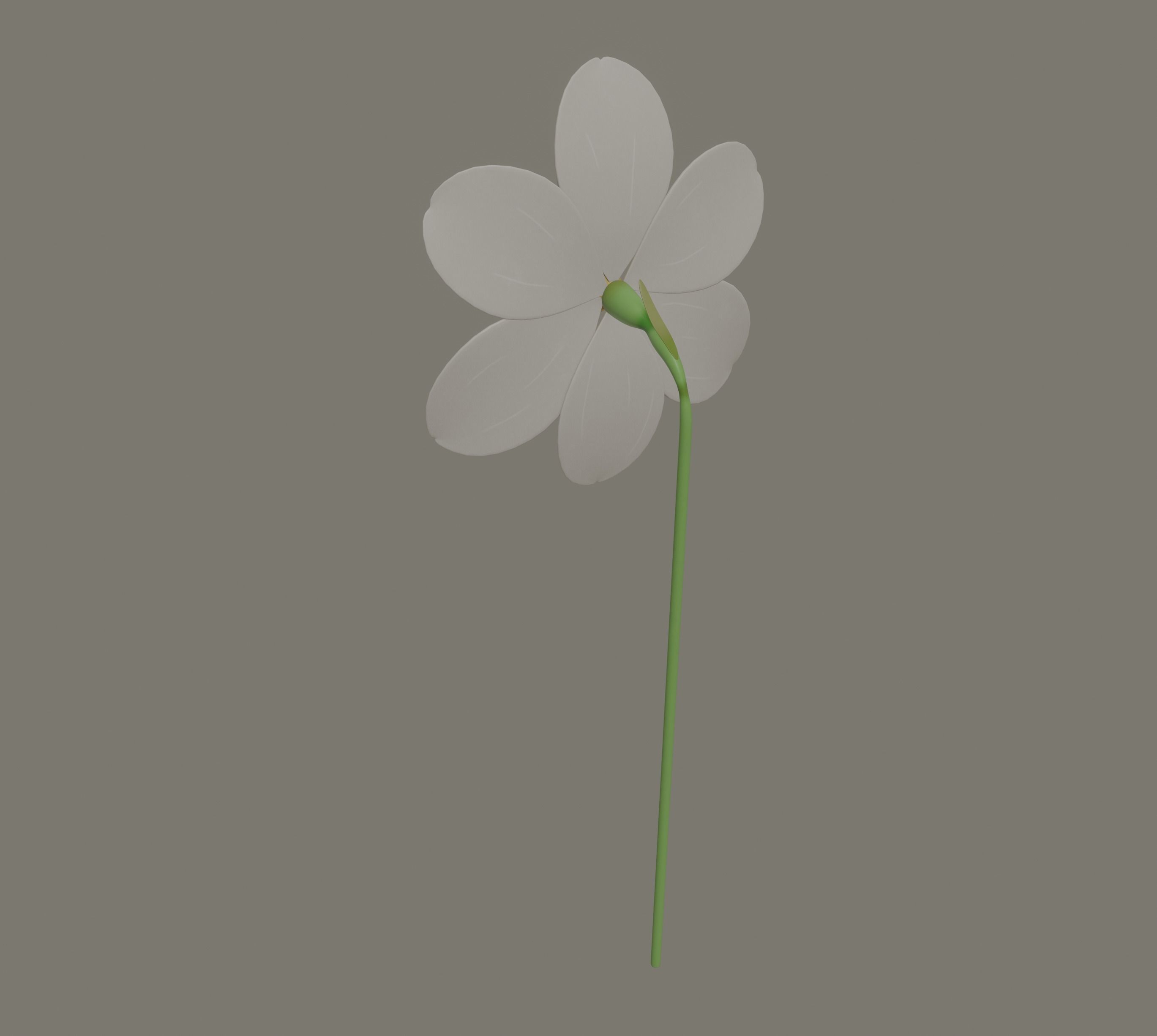 Narcissus Flower 3D model_4