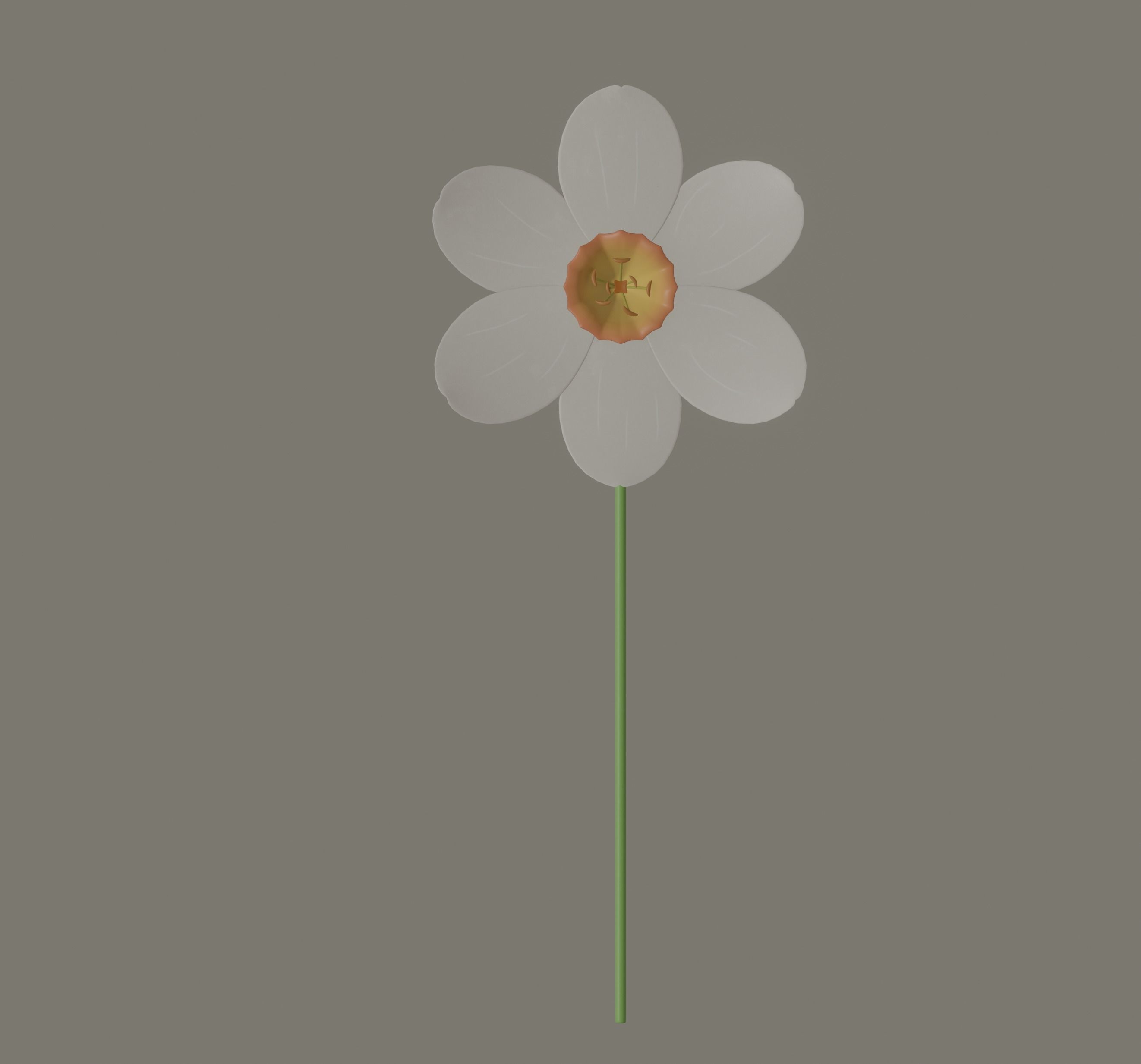 Narcissus Flower 3D model_1