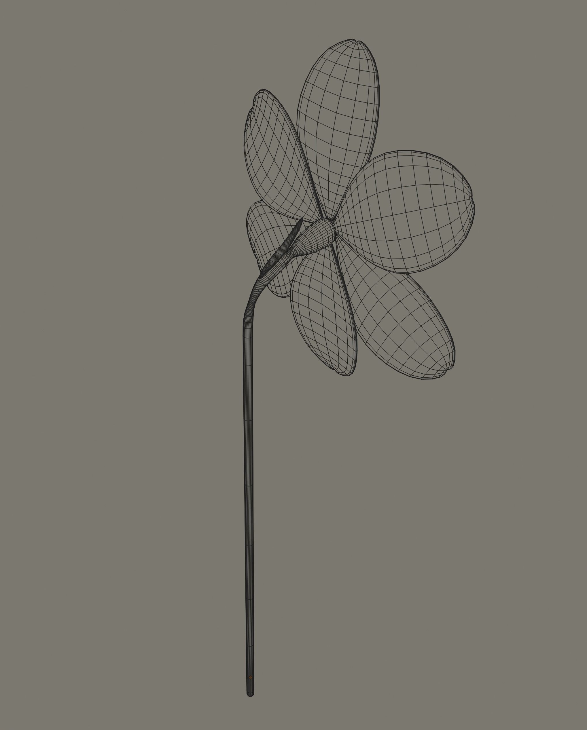 Narcissus Flower 3D model_13