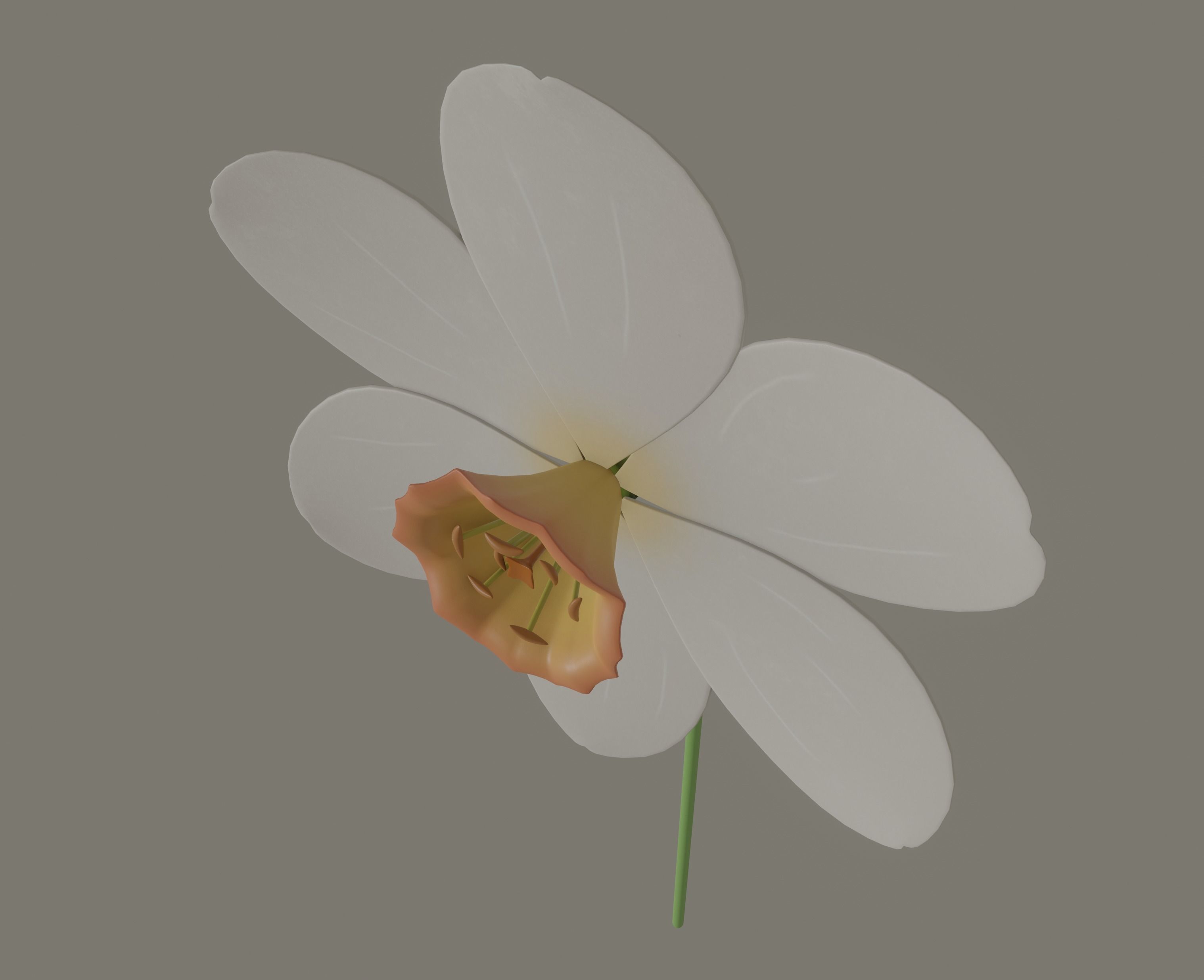 Narcissus Flower 3D model_7