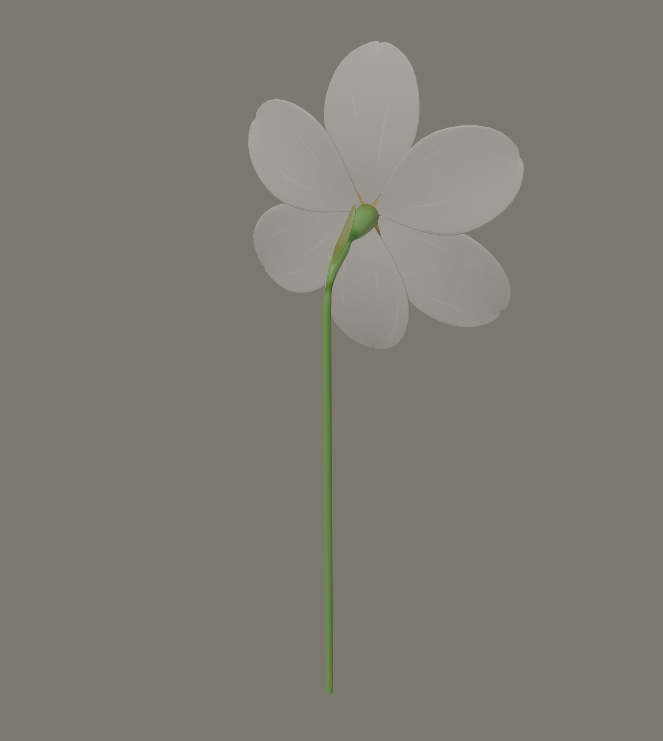 Narcissus Flower 3D model_5
