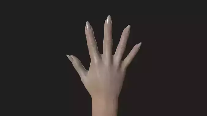 HAND-017 Woman right hand