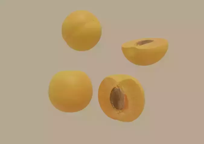 Apricot 3D model