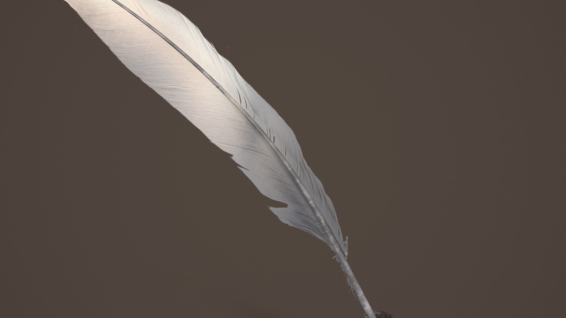 Quill and Glass Inkpot Low-poly 3D model_6