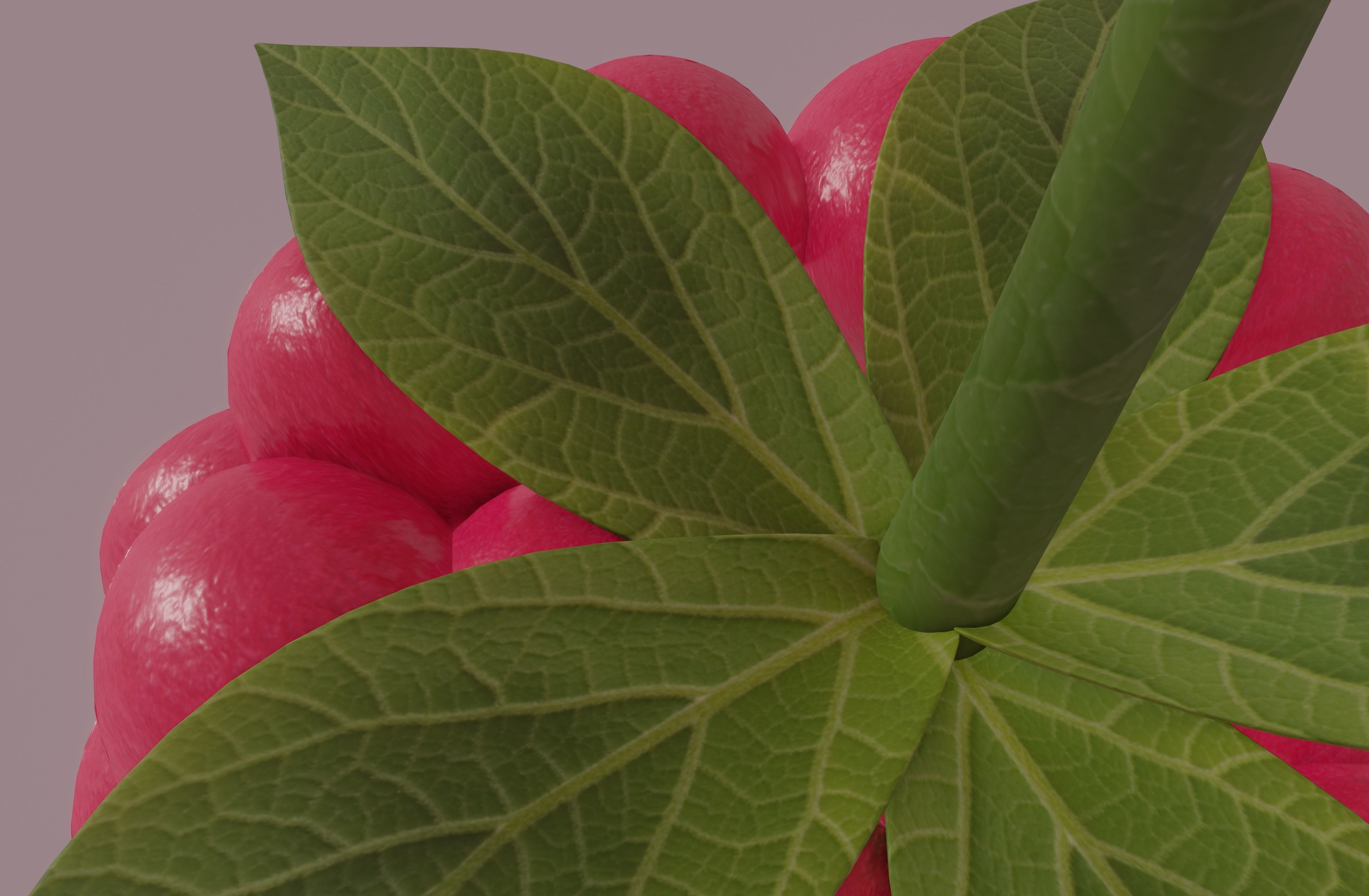 Raspberry 3D model_11