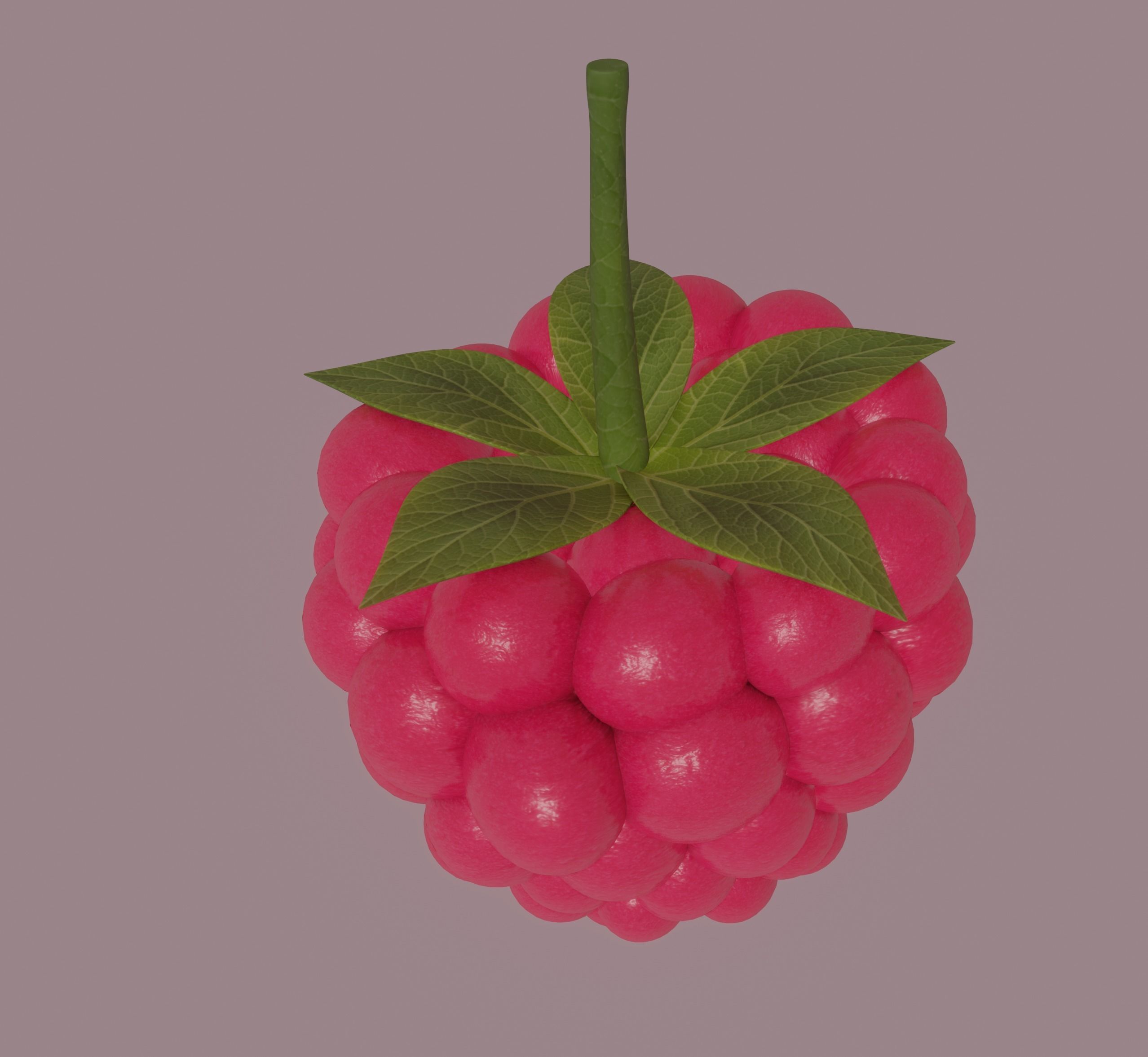 Raspberry 3D model_13