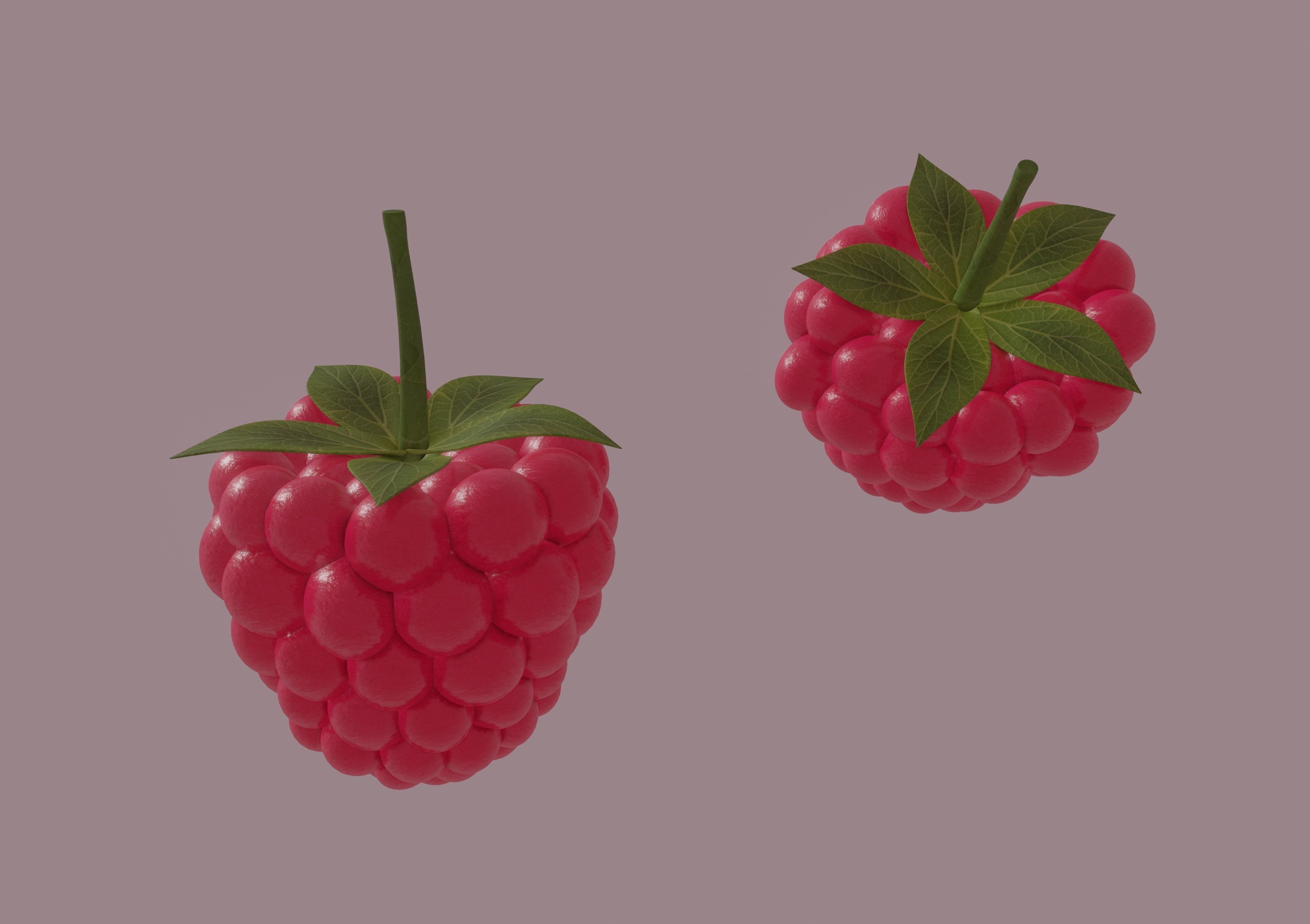 Raspberry 3D model_1