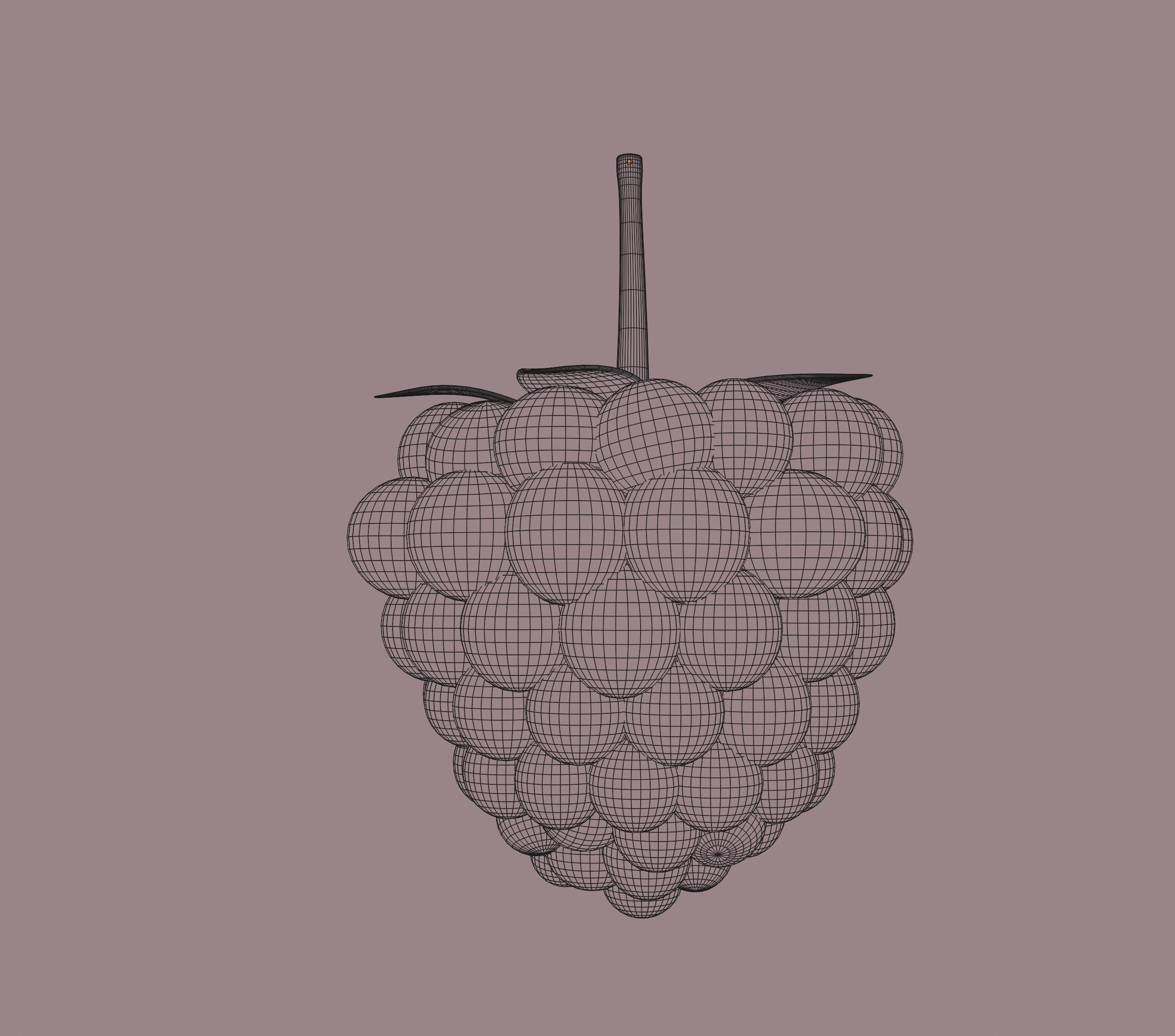 Raspberry 3D model_15