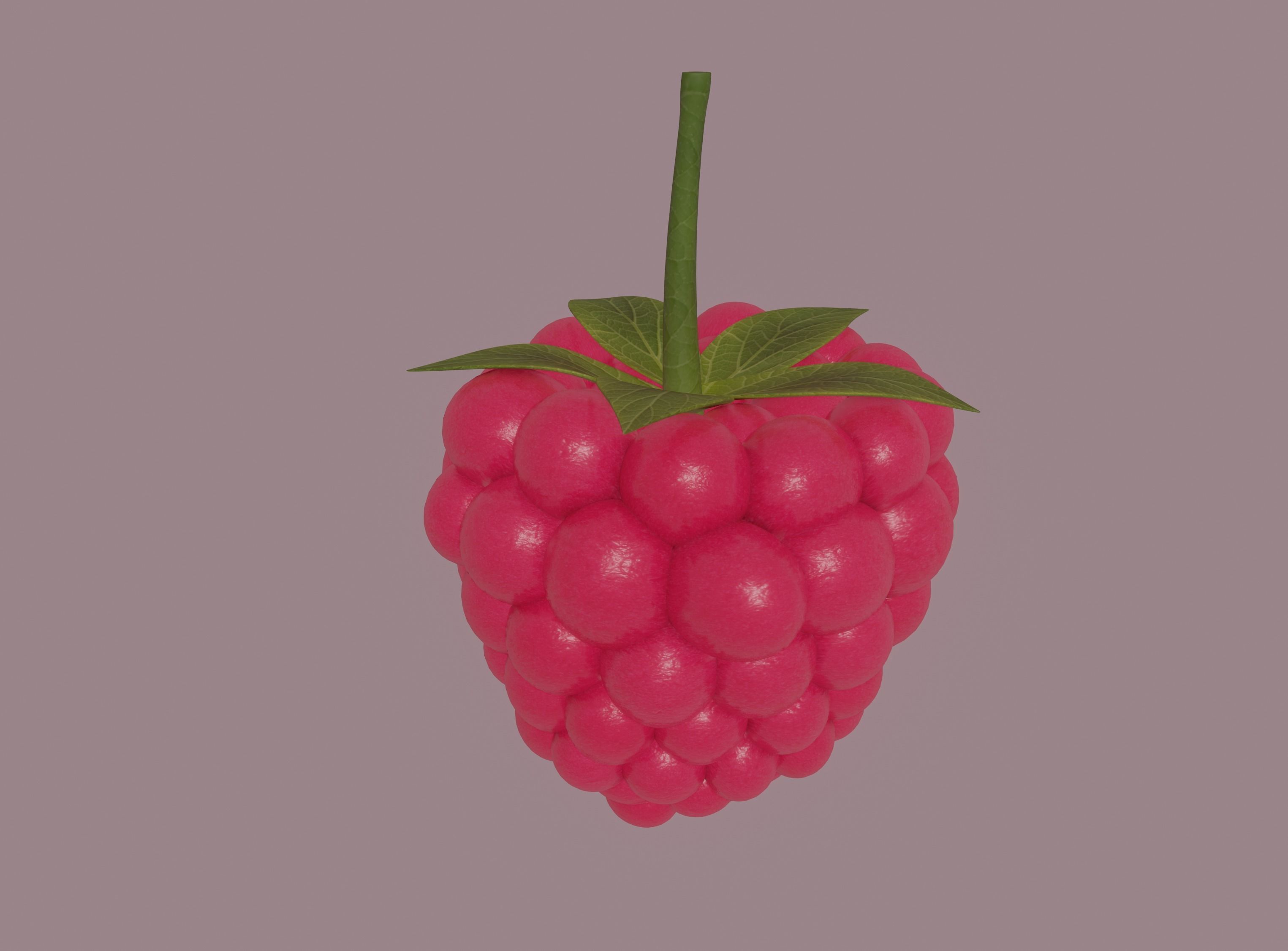 Raspberry 3D model_3