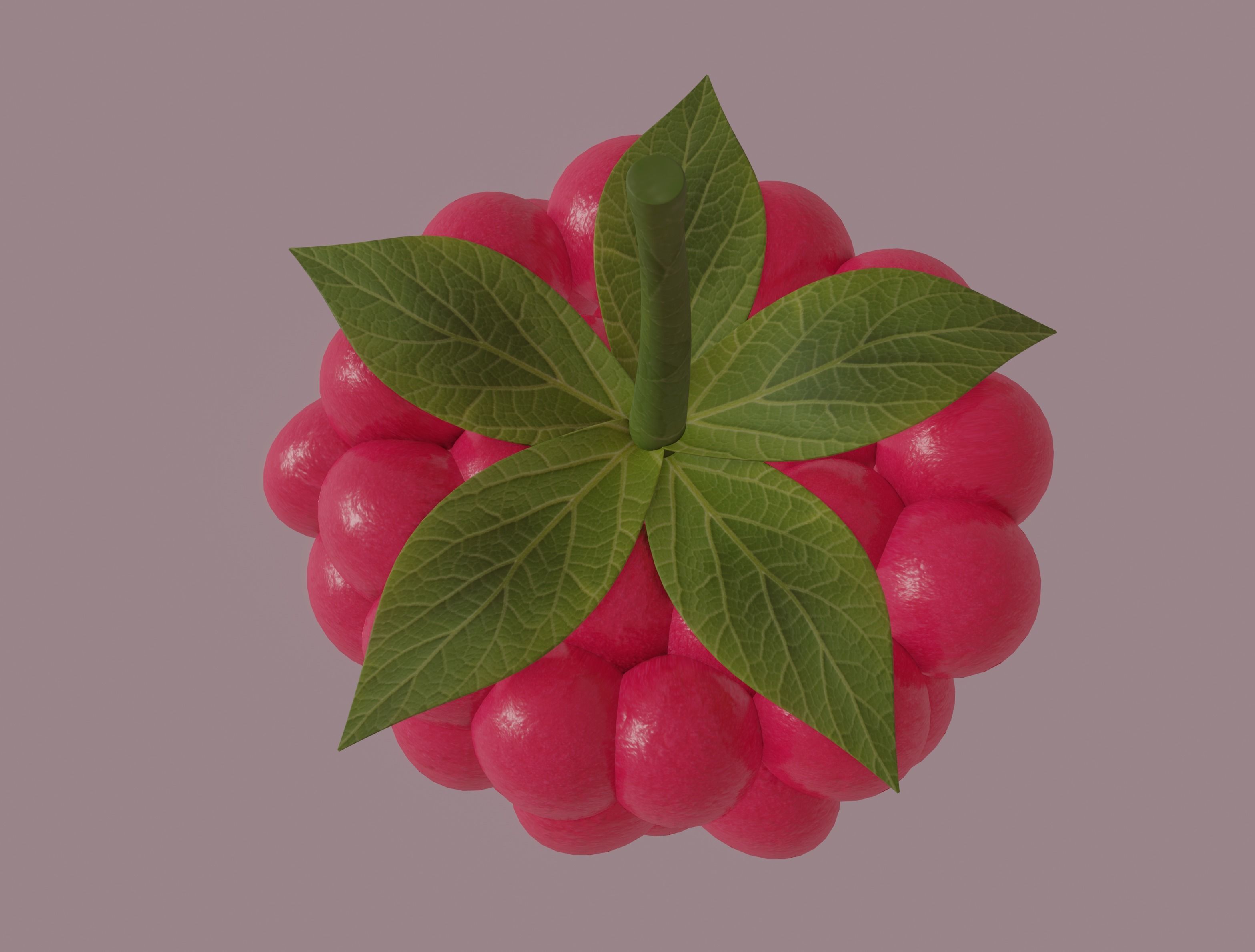 Raspberry 3D model_10