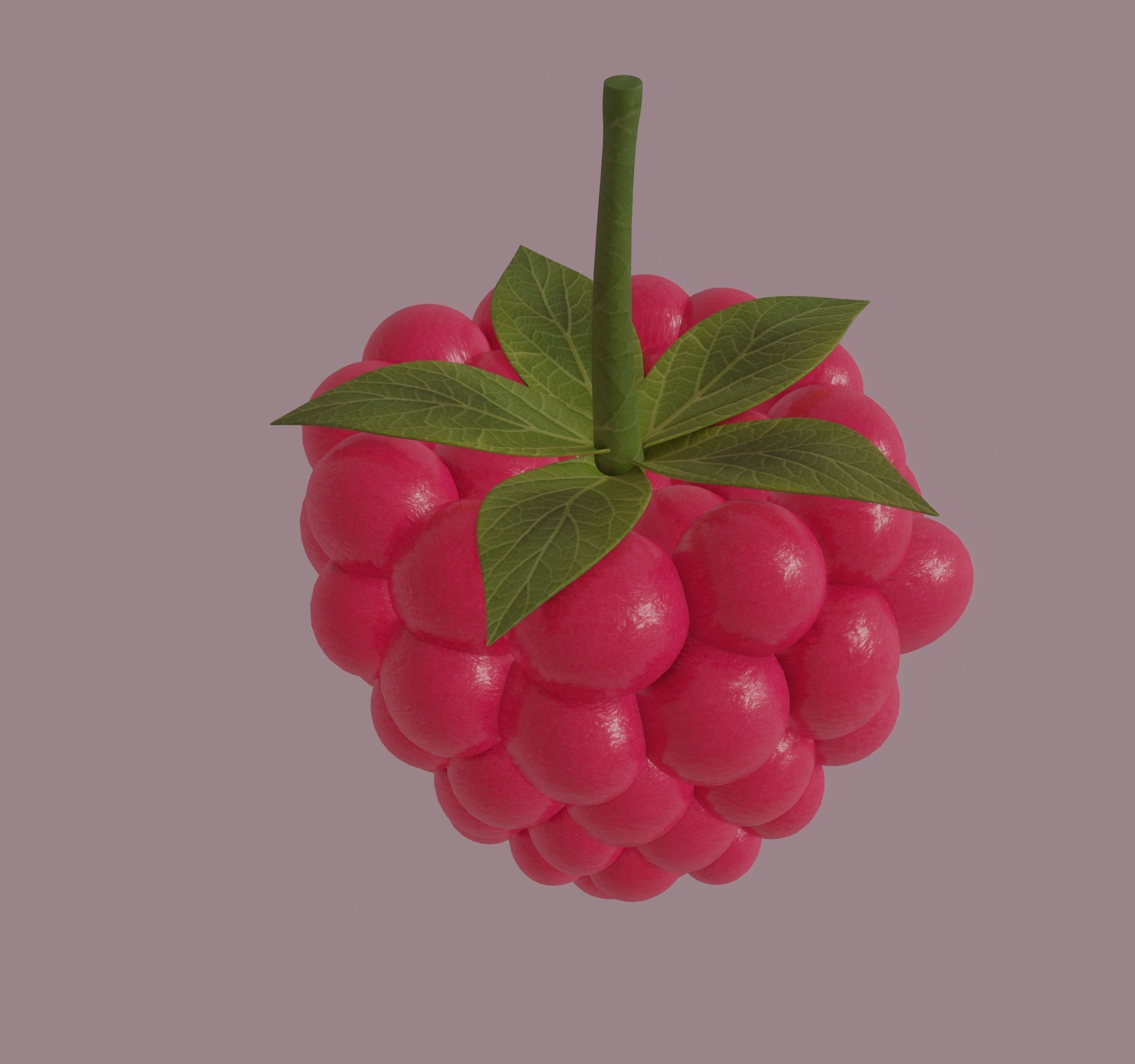 Raspberry 3D model_7