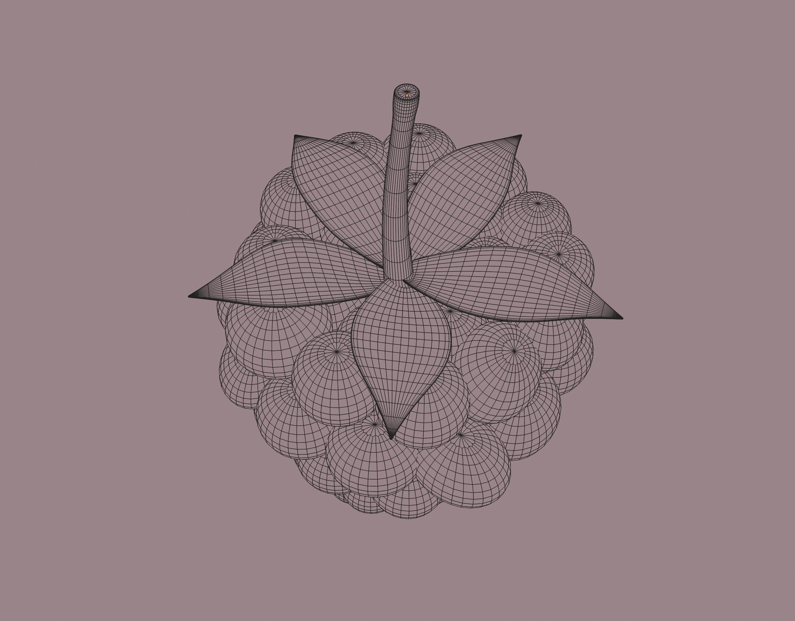 Raspberry 3D model_16