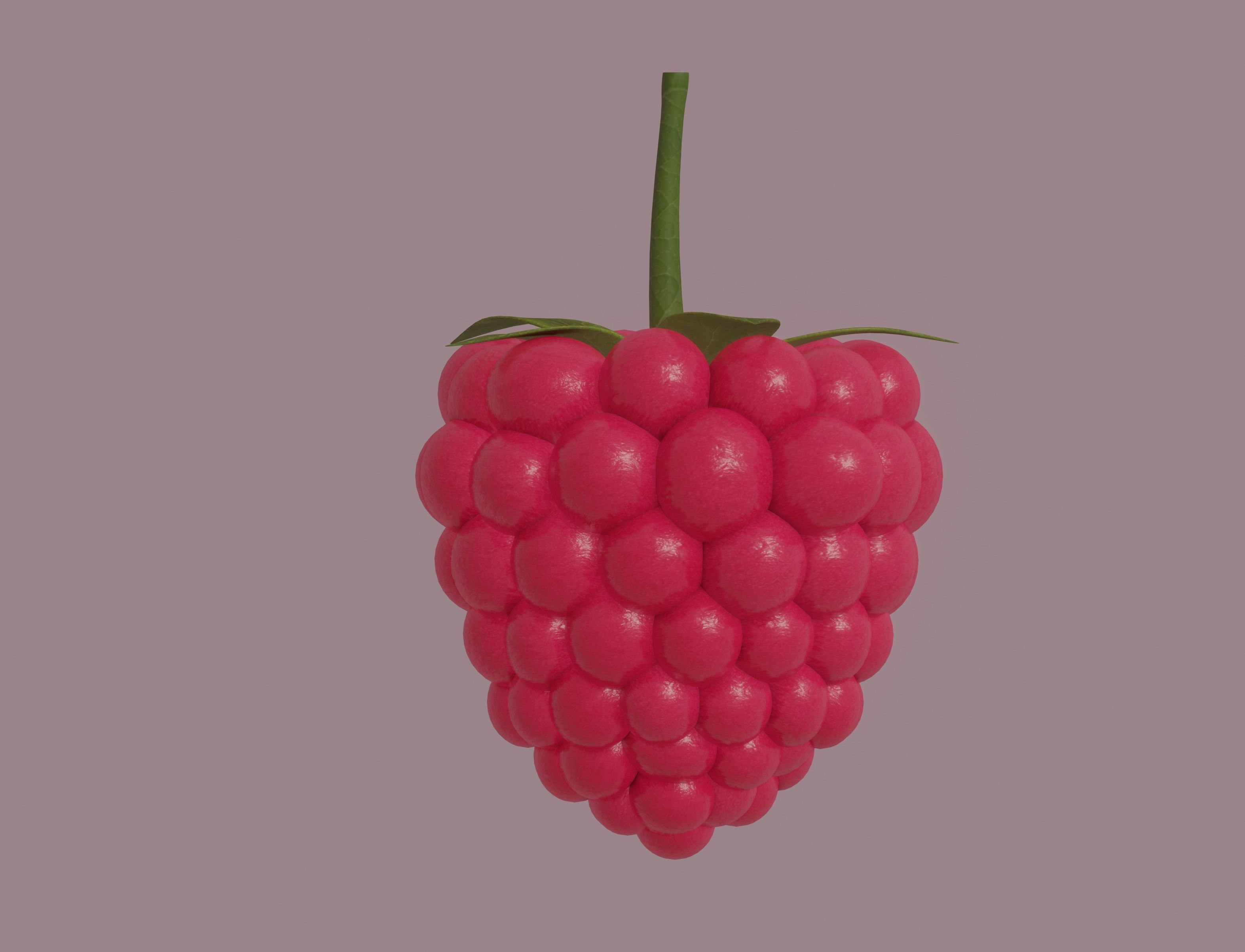 Raspberry 3D model_2