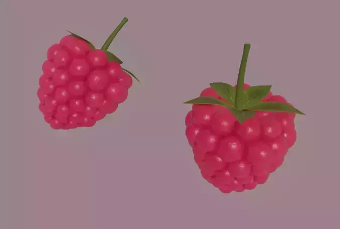 Raspberry 3D model