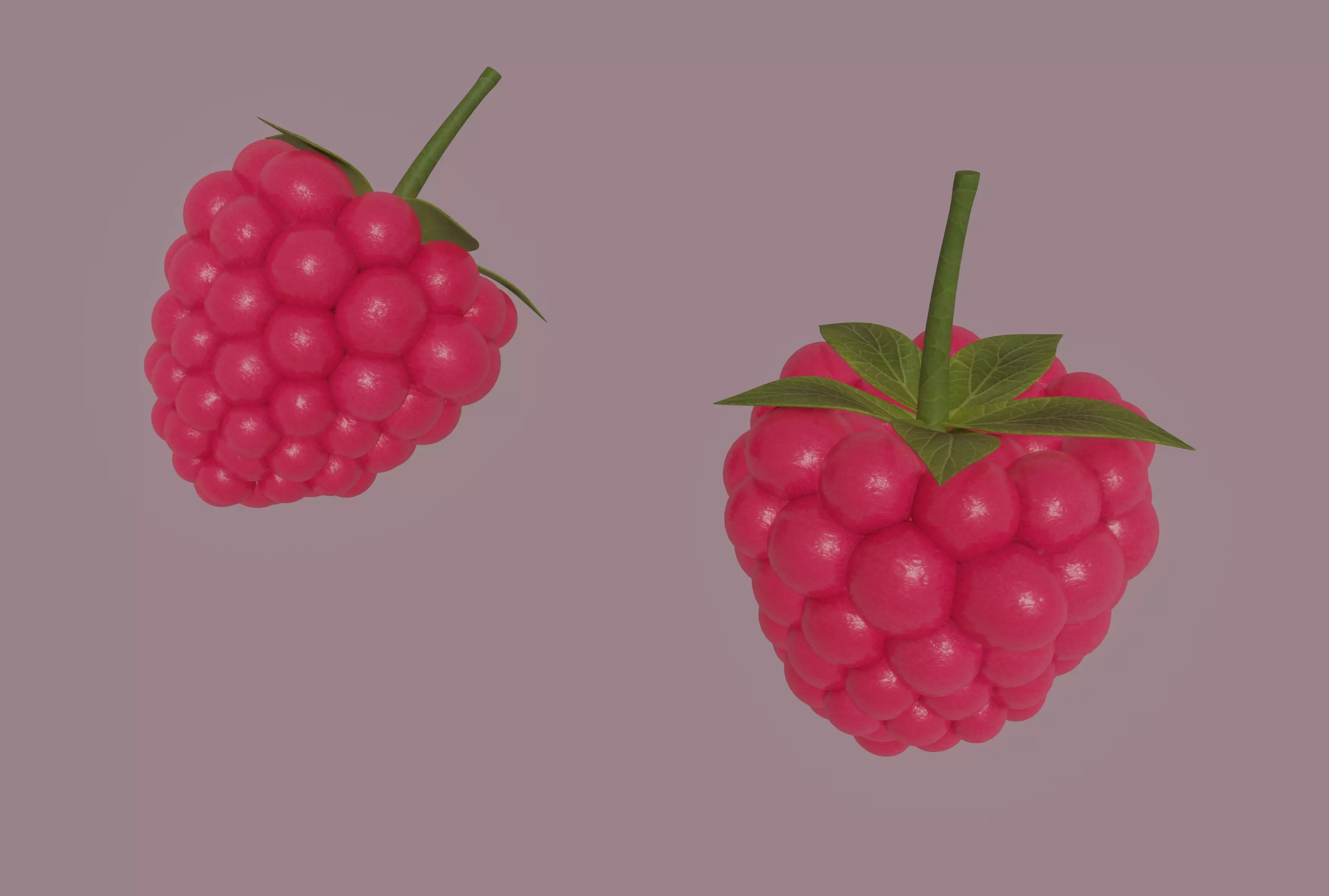 Raspberry 3D model_0