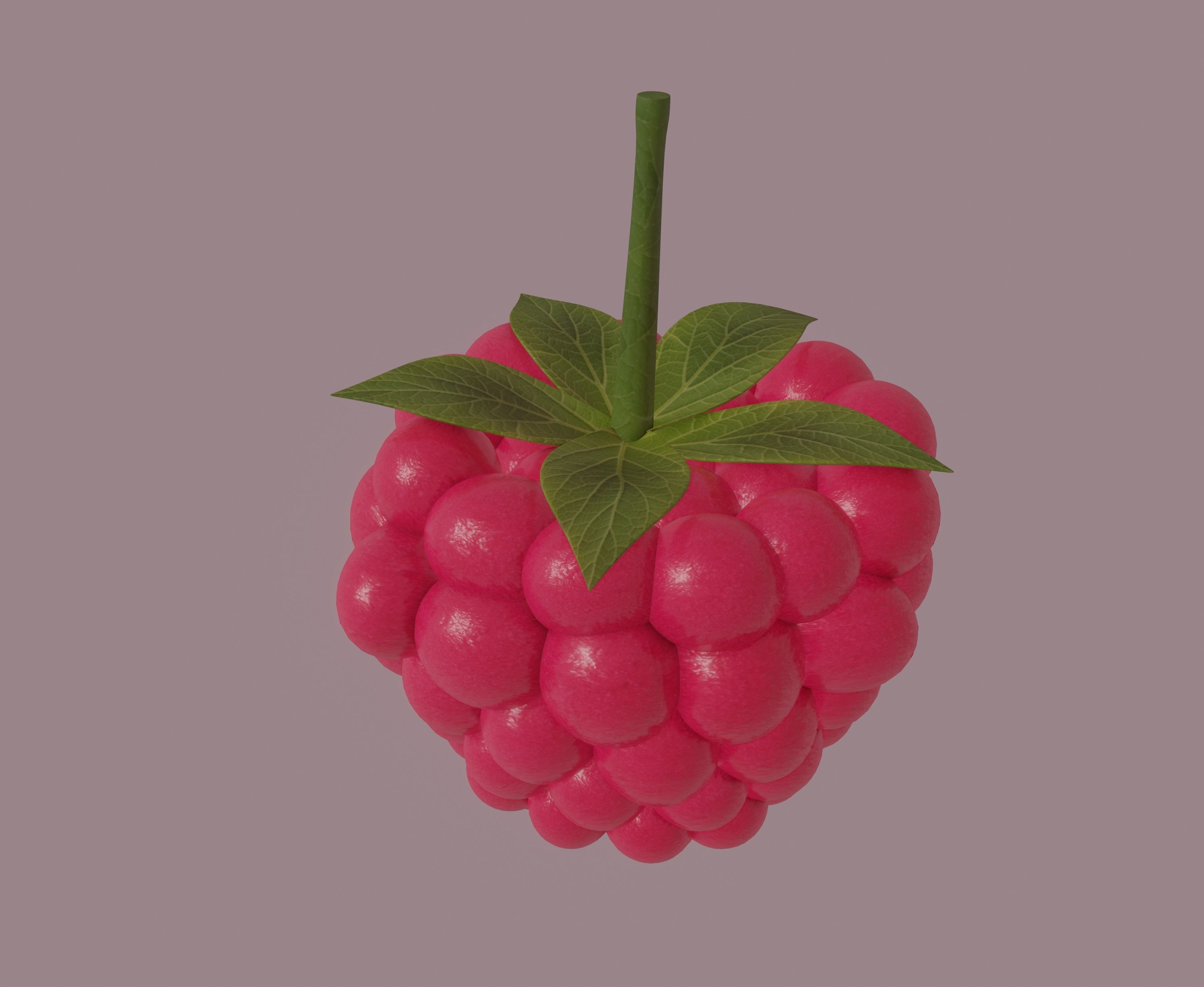 Raspberry 3D model_4