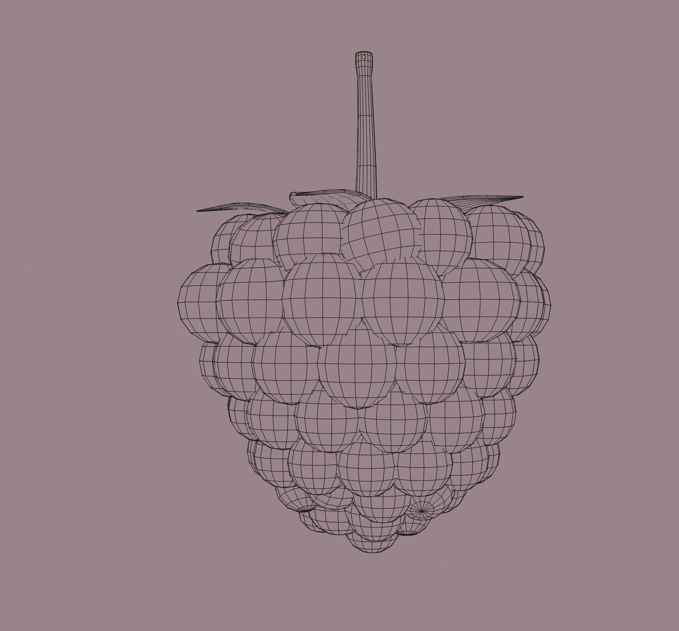 Raspberry 3D model_14