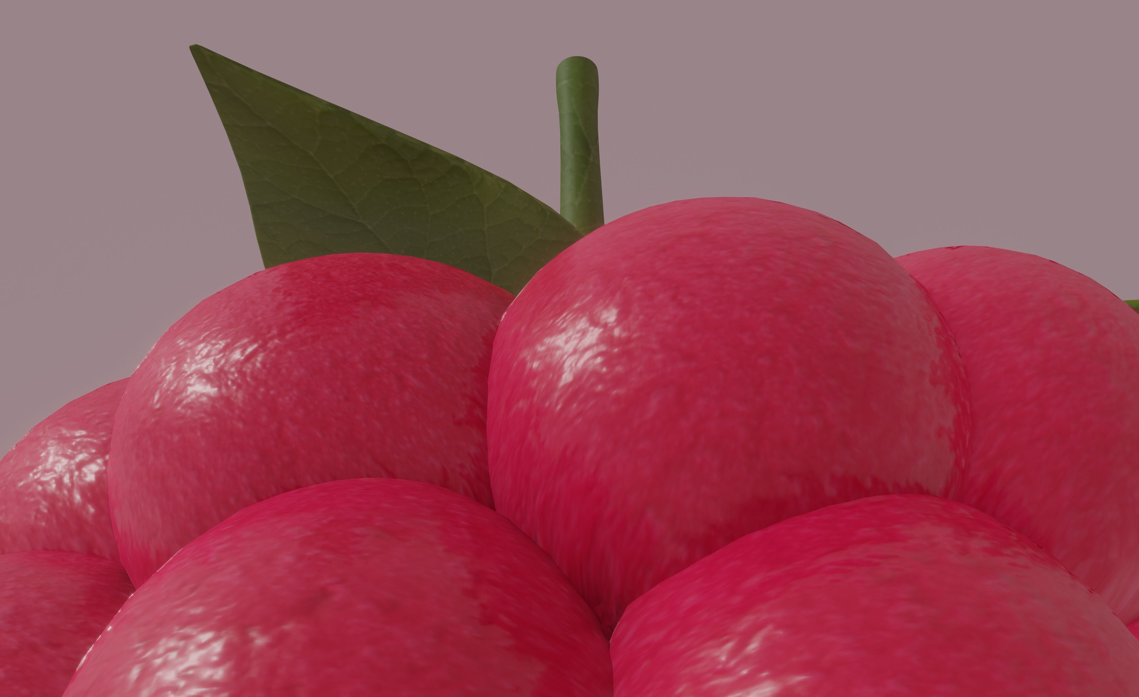Raspberry 3D model_12