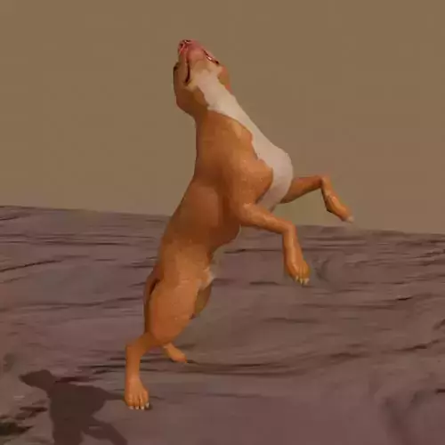 Pitbull pit bull dog 3D model