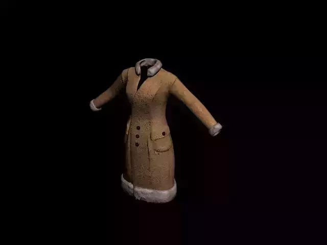 Fashion Coat
