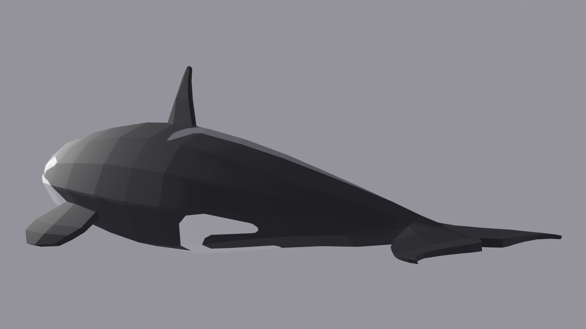 Orcinus Orca or Killer Whale Low Poly Free low-poly 3D model_3