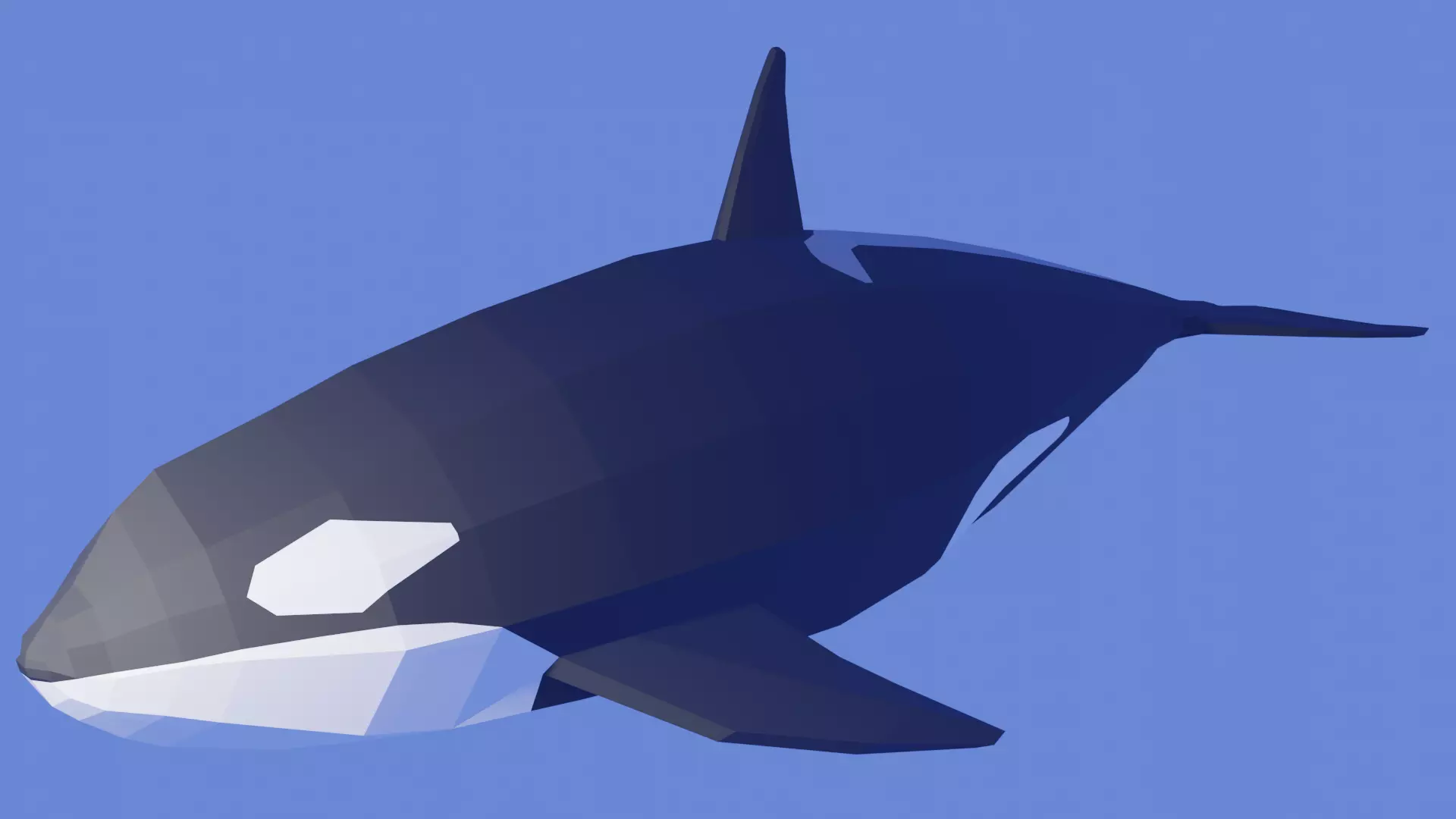 Orcinus Orca or Killer Whale Low Poly Free low-poly 3D model_0