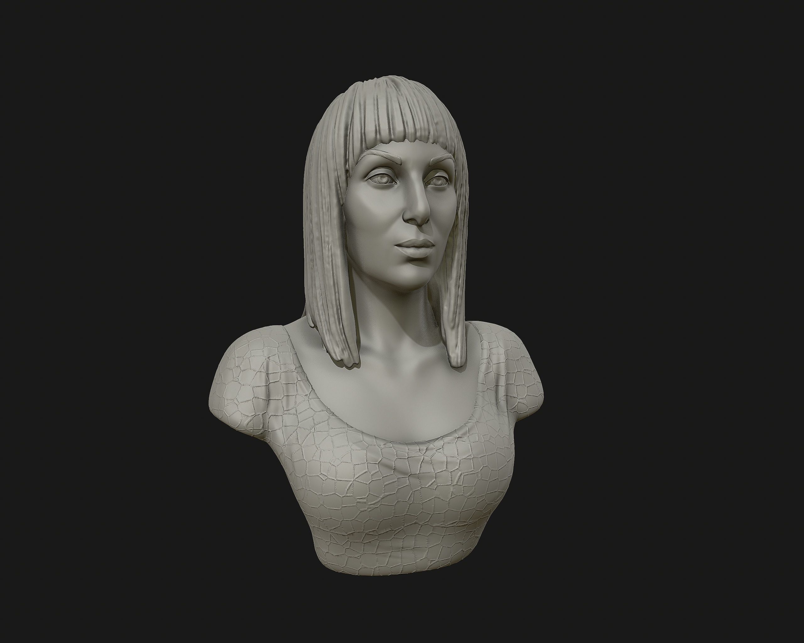 Cher portrait sculpture ready to 3D print 3D print model_17