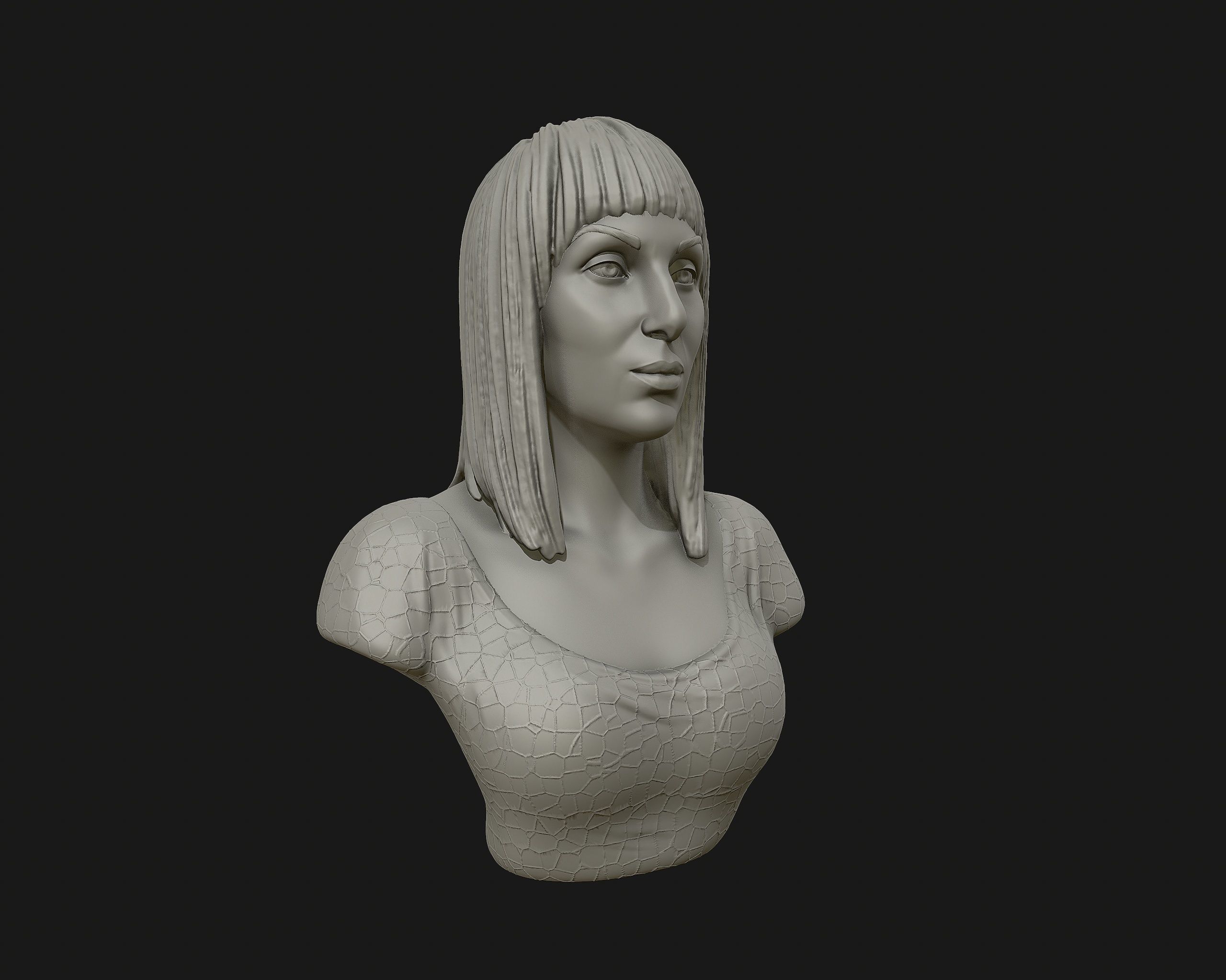 Cher portrait sculpture ready to 3D print 3D print model_16