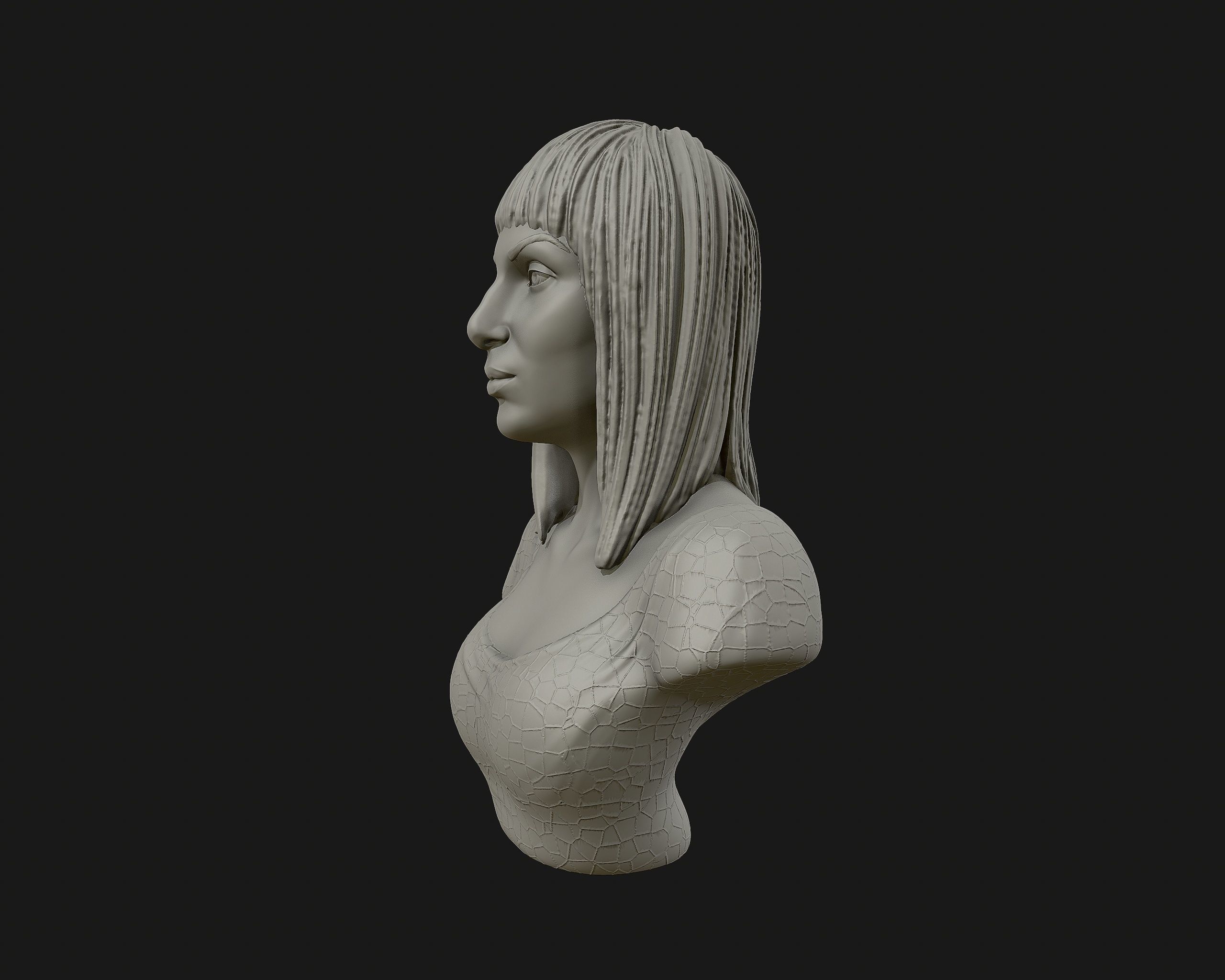 Cher portrait sculpture ready to 3D print 3D print model_10